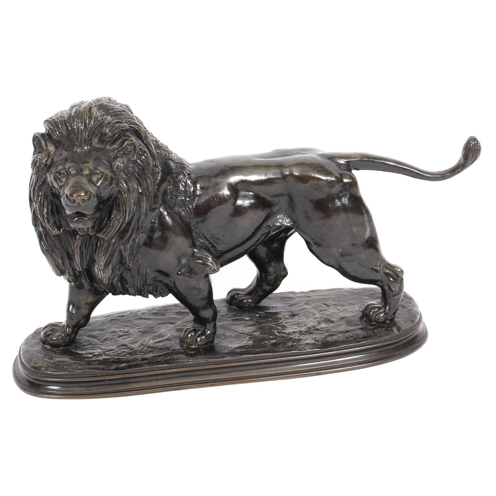 French Bronze Sculpture of a Pacing Lion by Edouard Delabrierre, 19th Century