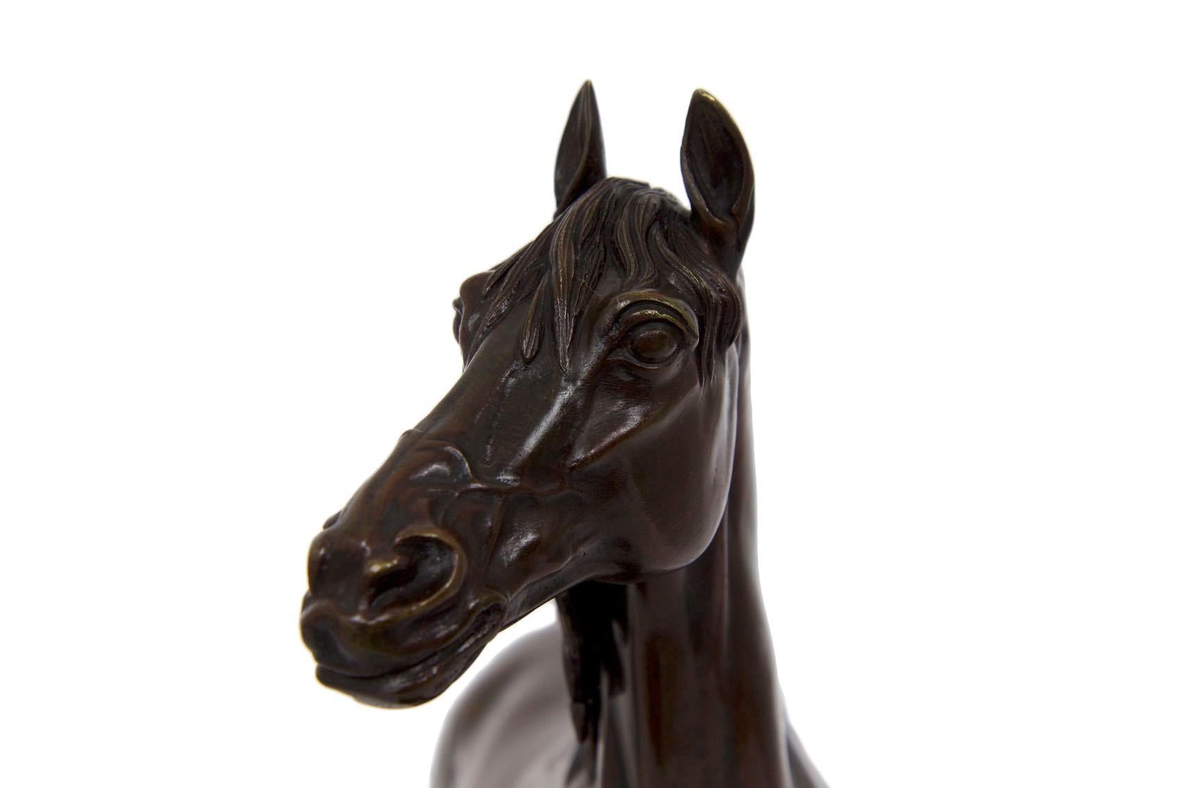 French Bronze Sculpture of Horse Stallion “Ibrahim” After Pierre Jules Mene 3
