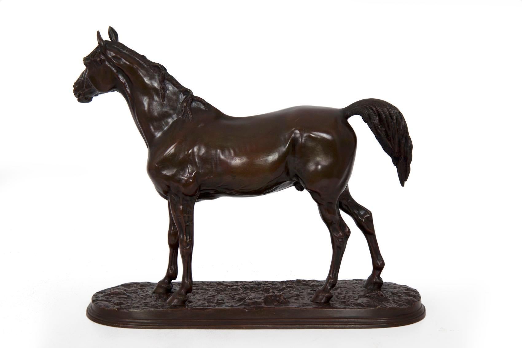 French Bronze Sculpture of Horse Stallion “Ibrahim” After Pierre Jules Mene 4