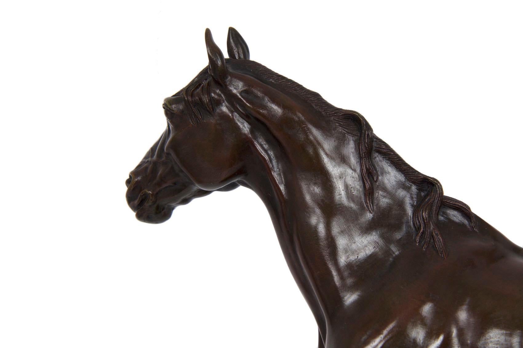 French Bronze Sculpture of Horse Stallion “Ibrahim” After Pierre Jules Mene 5