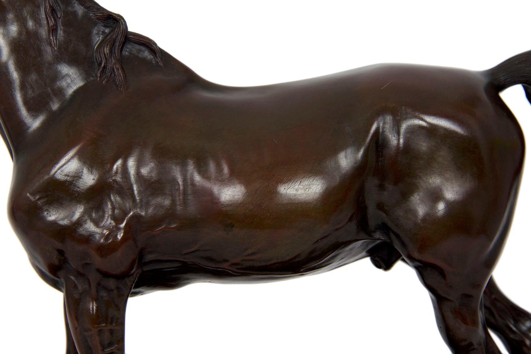 French Bronze Sculpture of Horse Stallion “Ibrahim” After Pierre Jules Mene 6