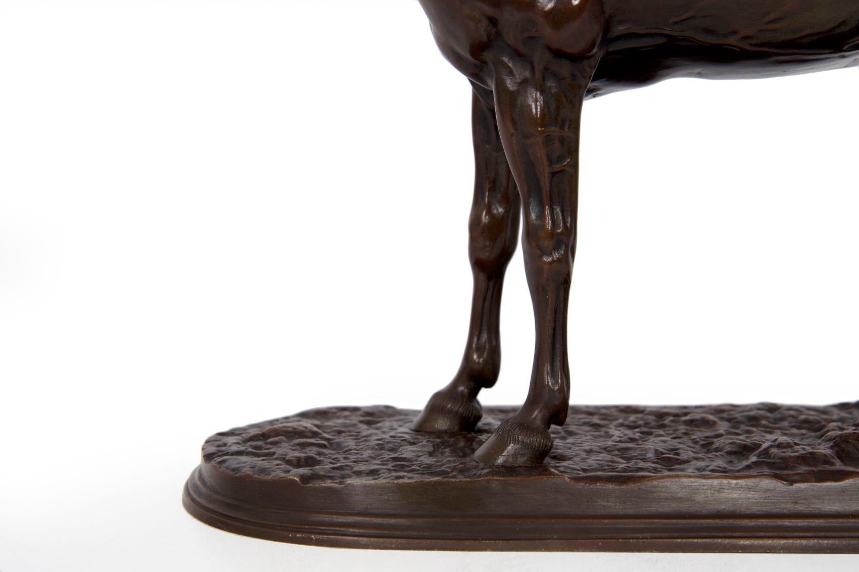 French Bronze Sculpture of Horse Stallion “Ibrahim” After Pierre Jules Mene 7
