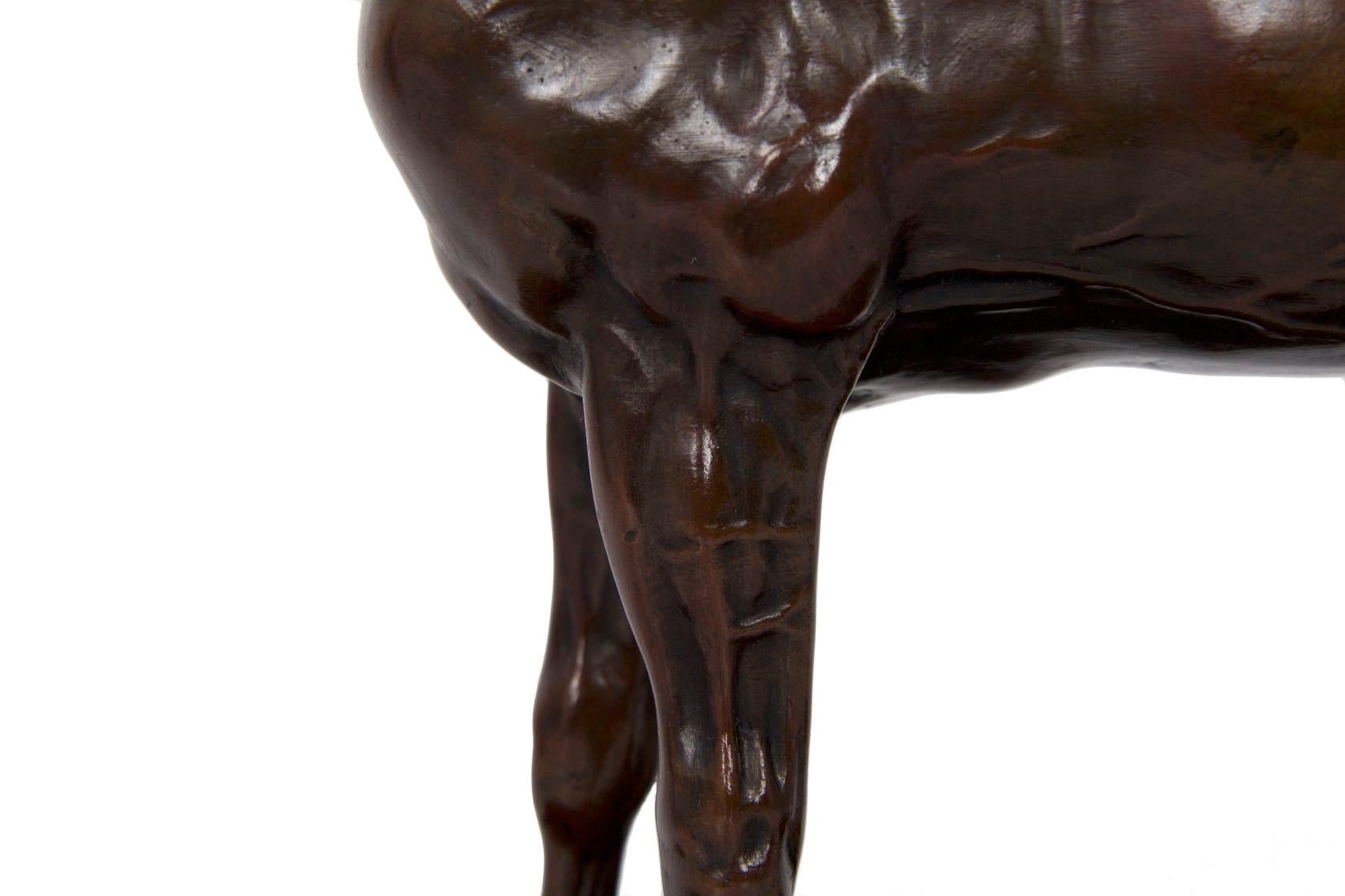 French Bronze Sculpture of Horse Stallion “Ibrahim” After Pierre Jules Mene 9