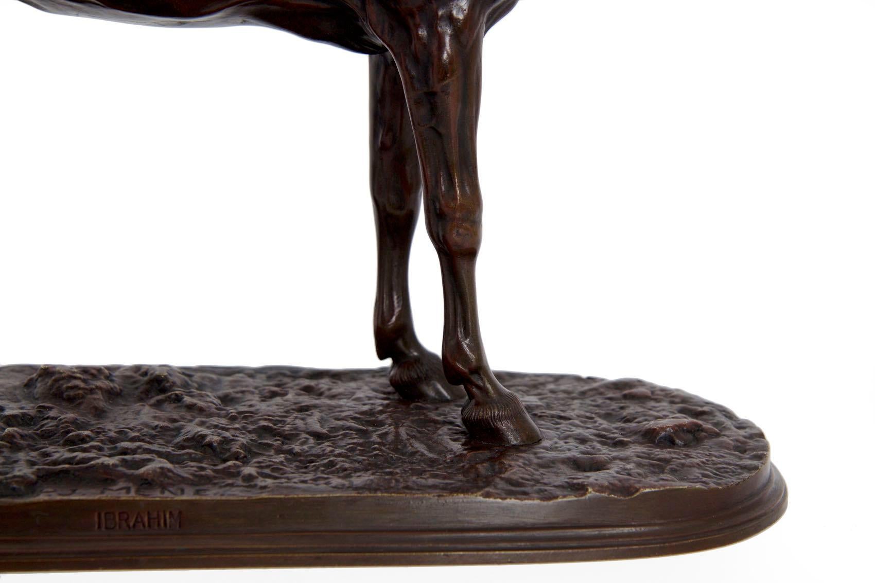 19th Century French Bronze Sculpture of Horse Stallion “Ibrahim” After Pierre Jules Mene