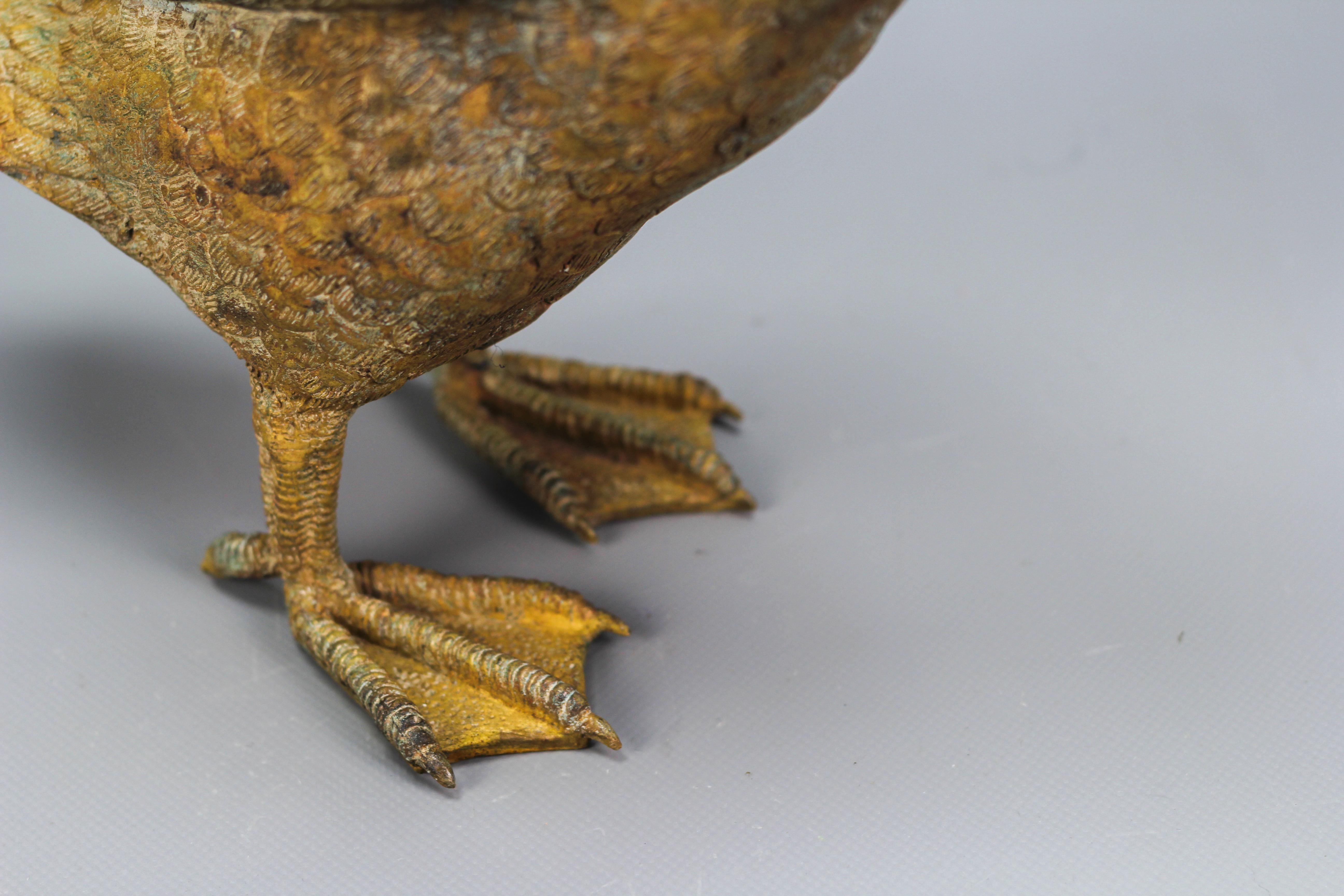 French Bronze Statue of a Standing Duck, circa 1950s 7