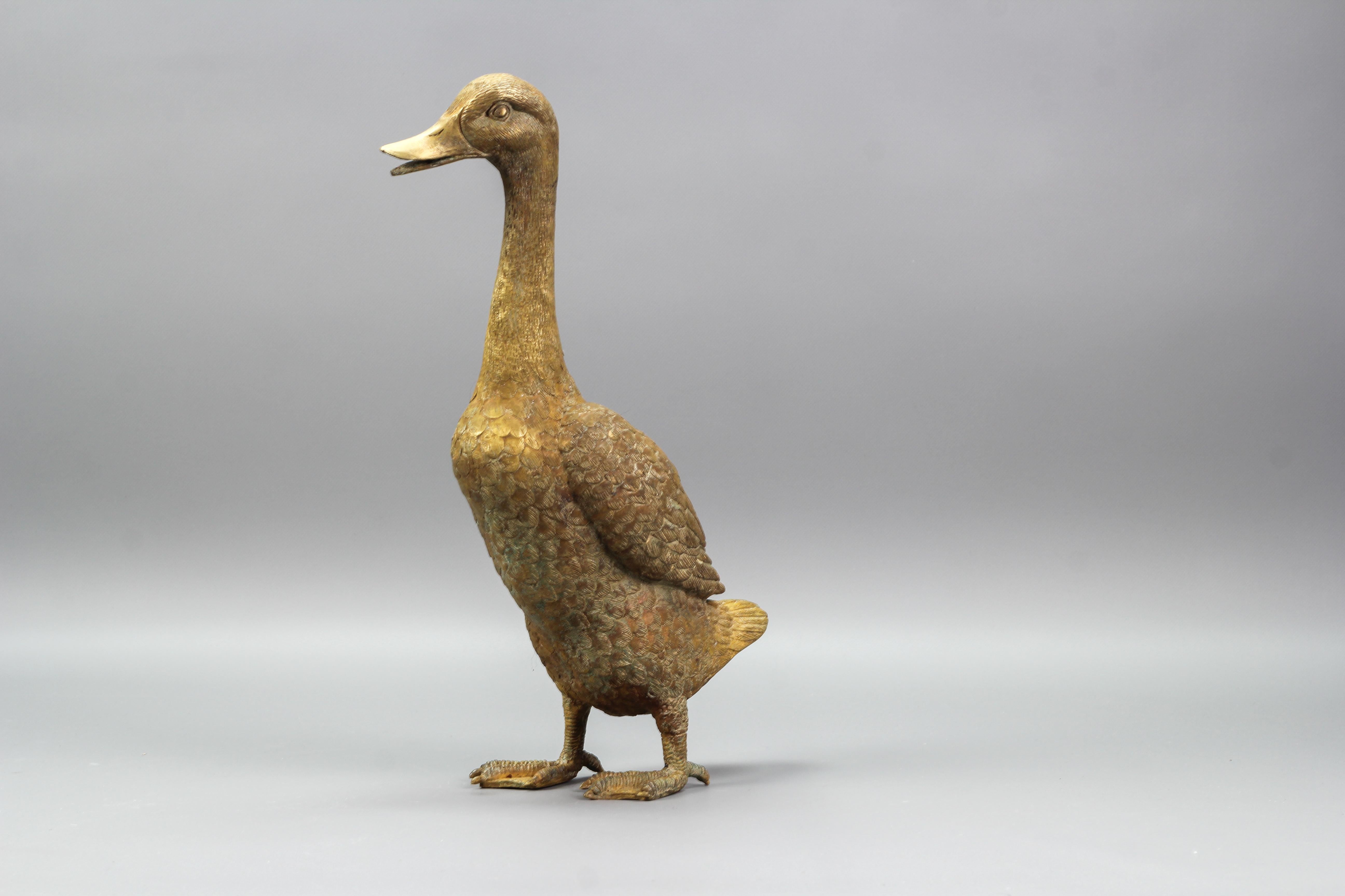 bronze duck