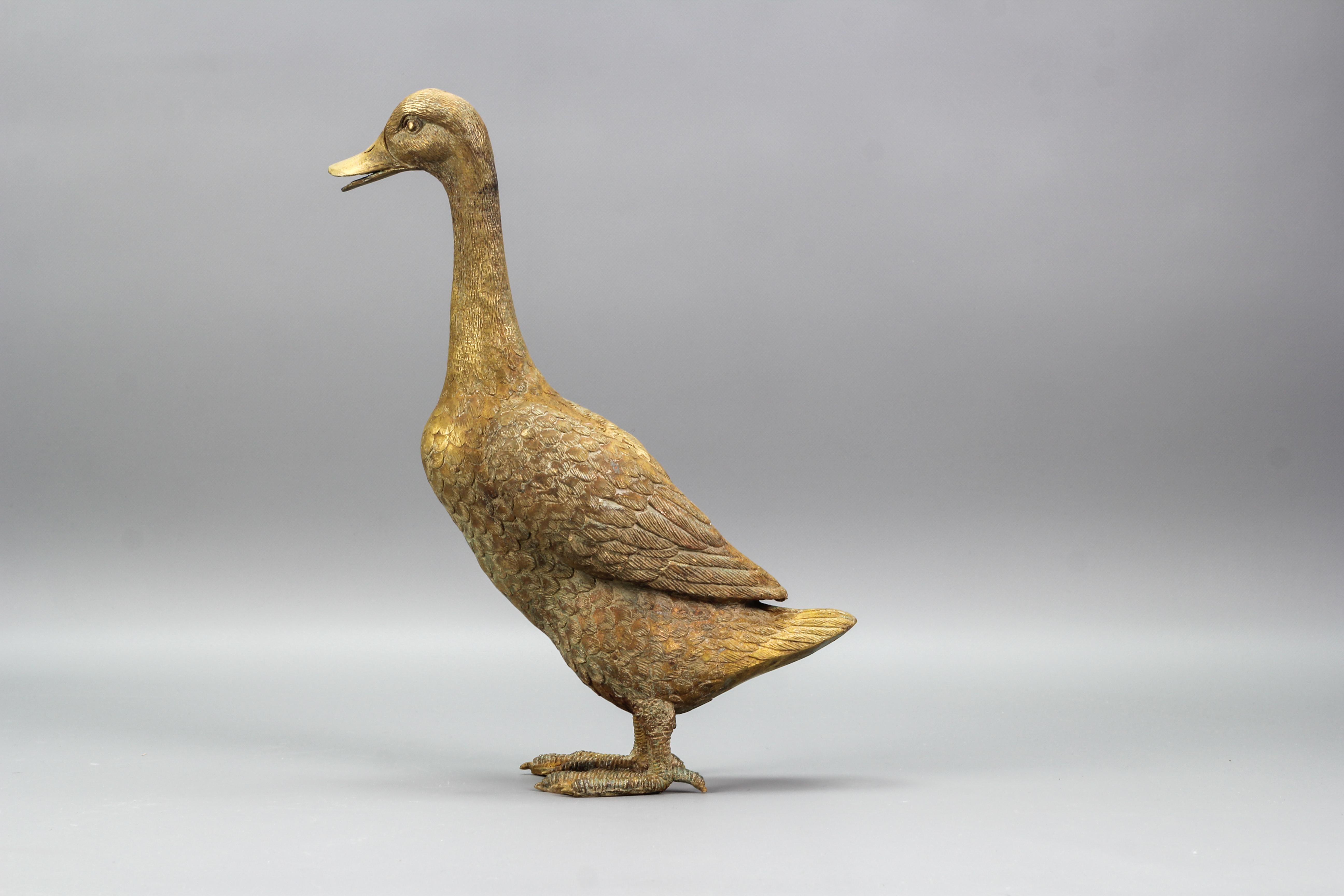 French Bronze Statue of a Standing Duck, circa 1950s In Good Condition In Barntrup, DE