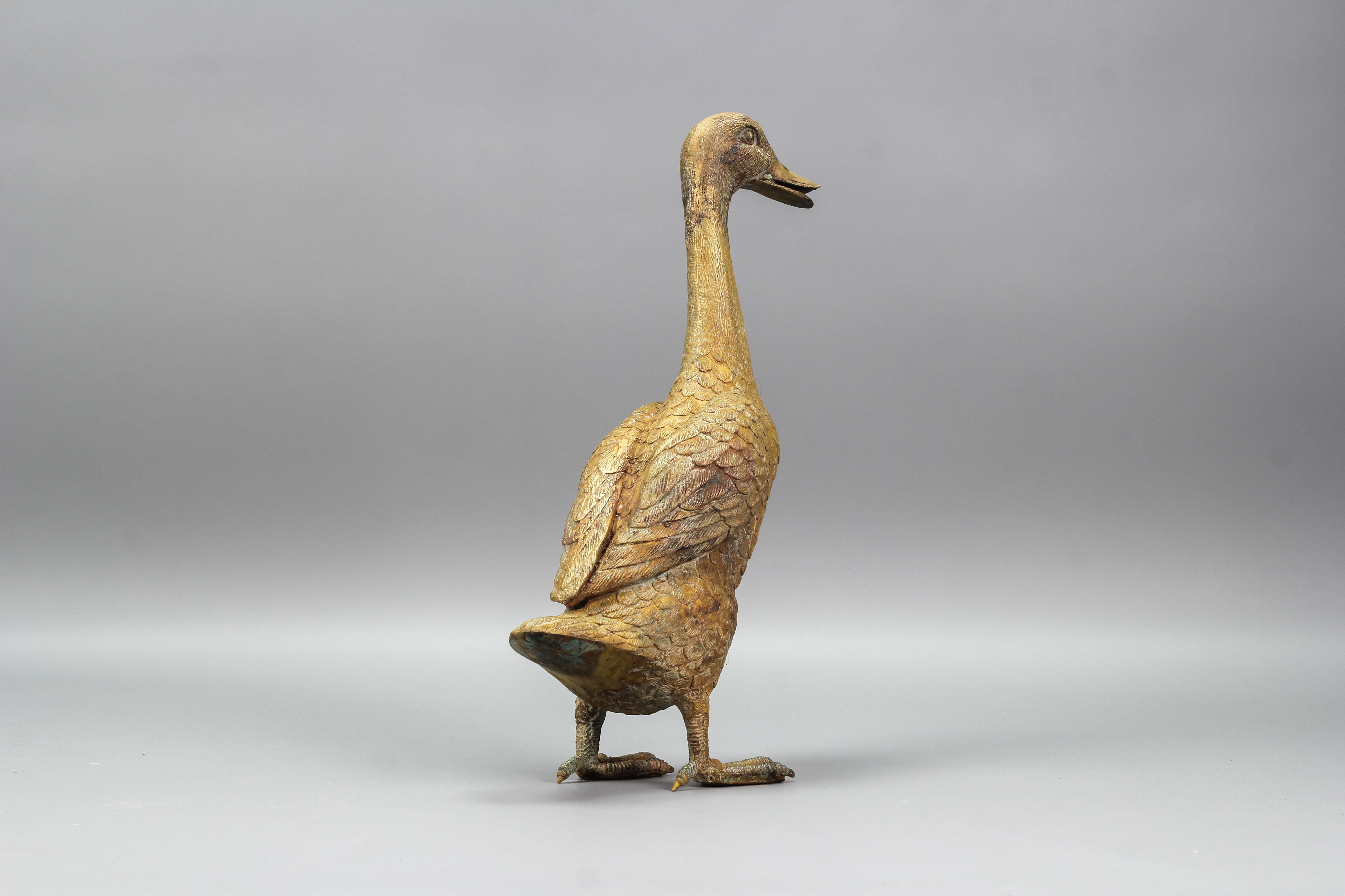 French Bronze Statue of a Standing Duck, circa 1950s 1