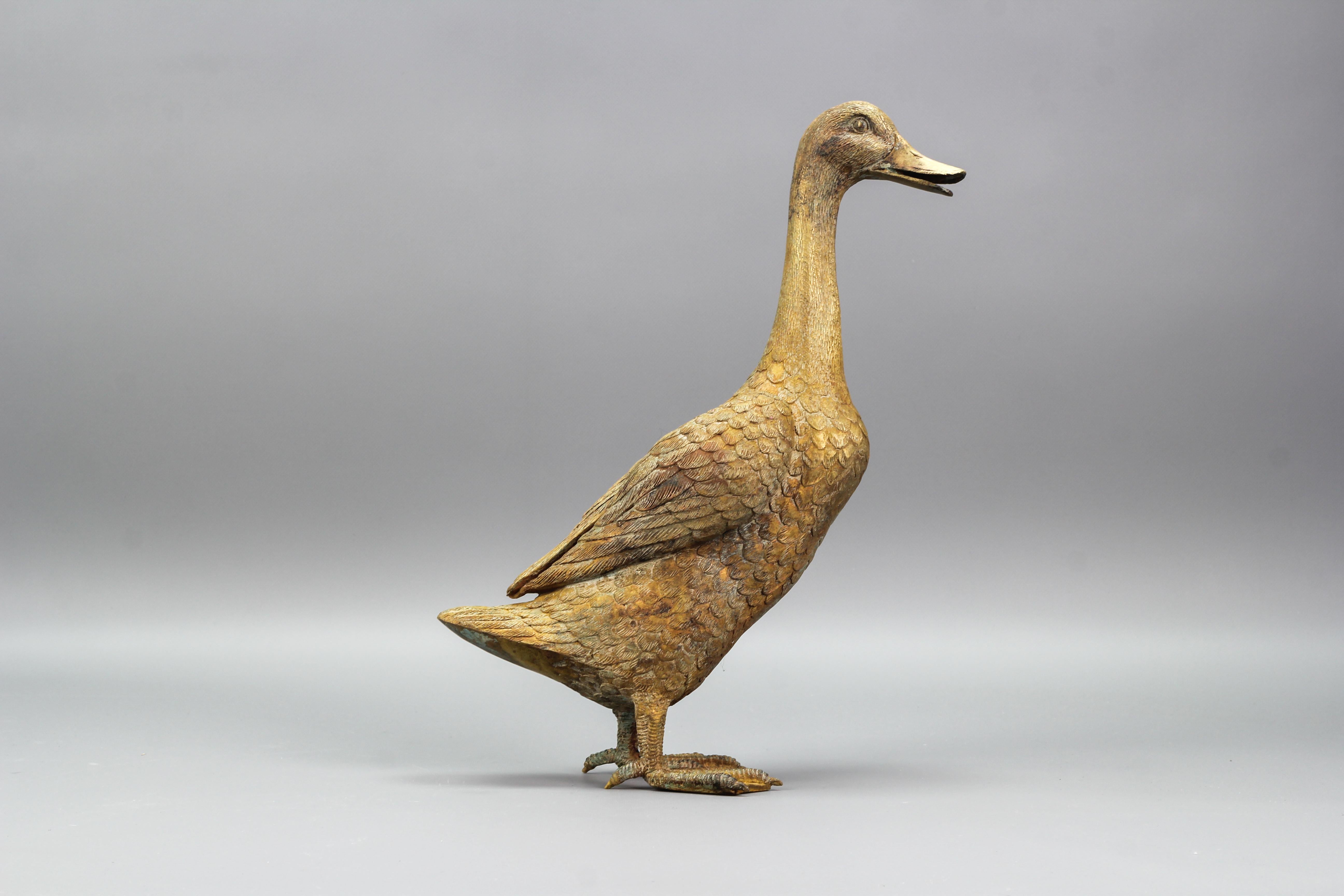 French Bronze Statue of a Standing Duck, circa 1950s 2