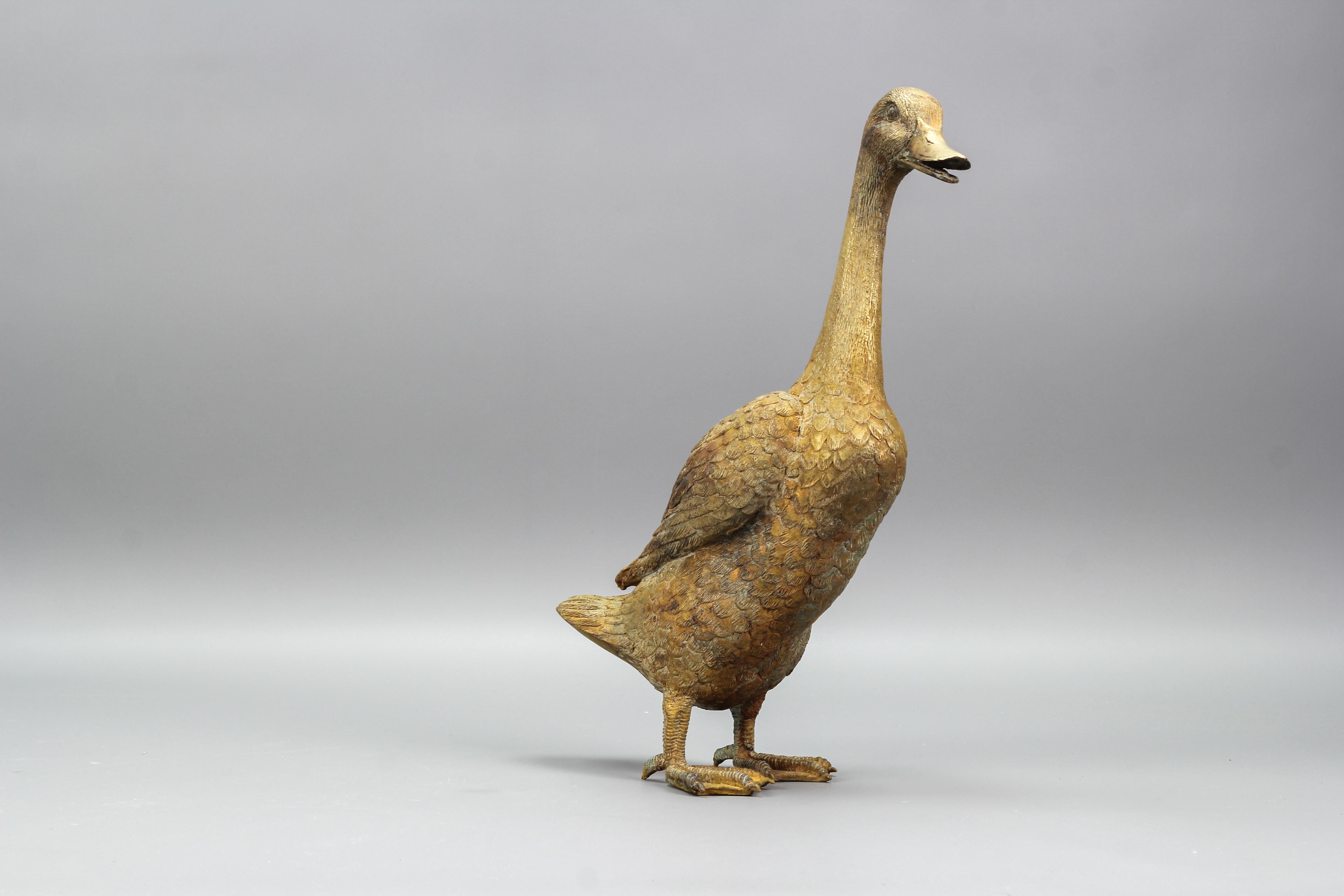 French Bronze Statue of a Standing Duck, circa 1950s 3