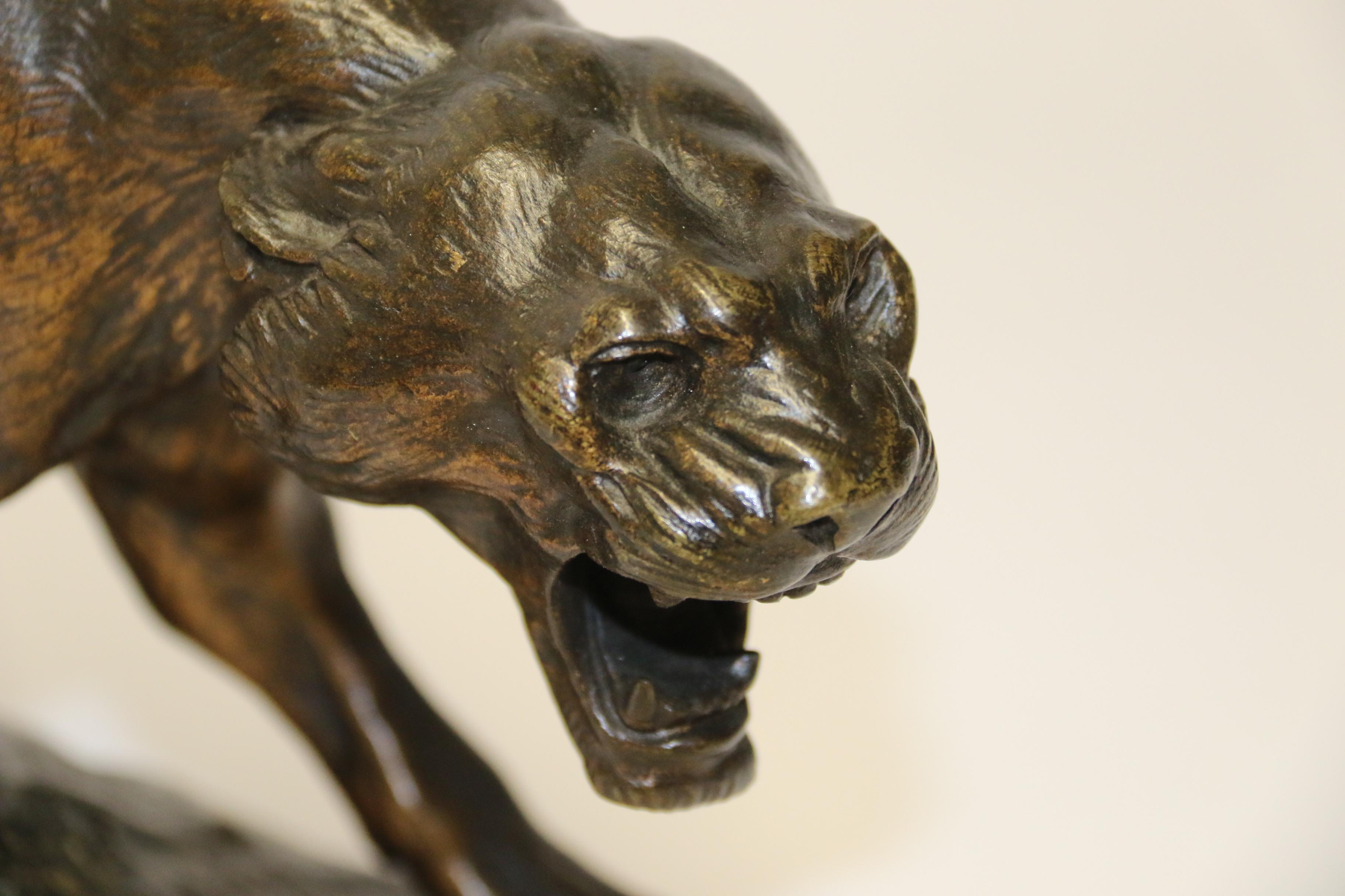 This stunning early 20th century bronze is a very finely sculpted study of a powerfully muscular panther with a wide snarling mouth, tensed and ready to attack its’ prey. The panther is patinated in a various tone of brown and stands on a dark green