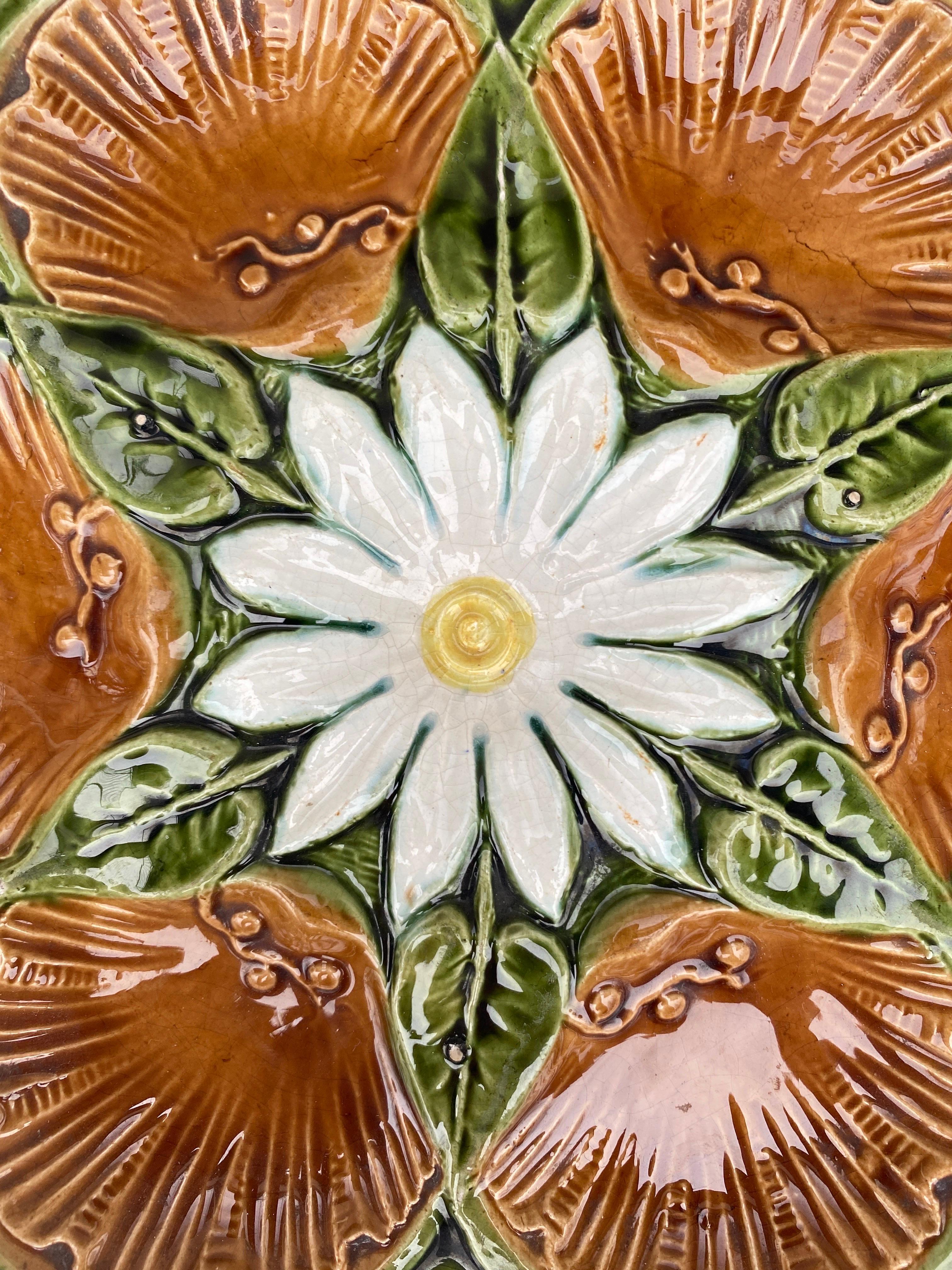 Ceramic French Brown Majolica Oyster Plate, circa 1890 For Sale
