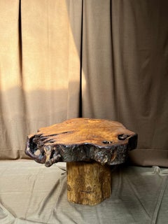 French Brutalist Tree Trunk Coffee Table, Nice Joinery, 1950s Handmade