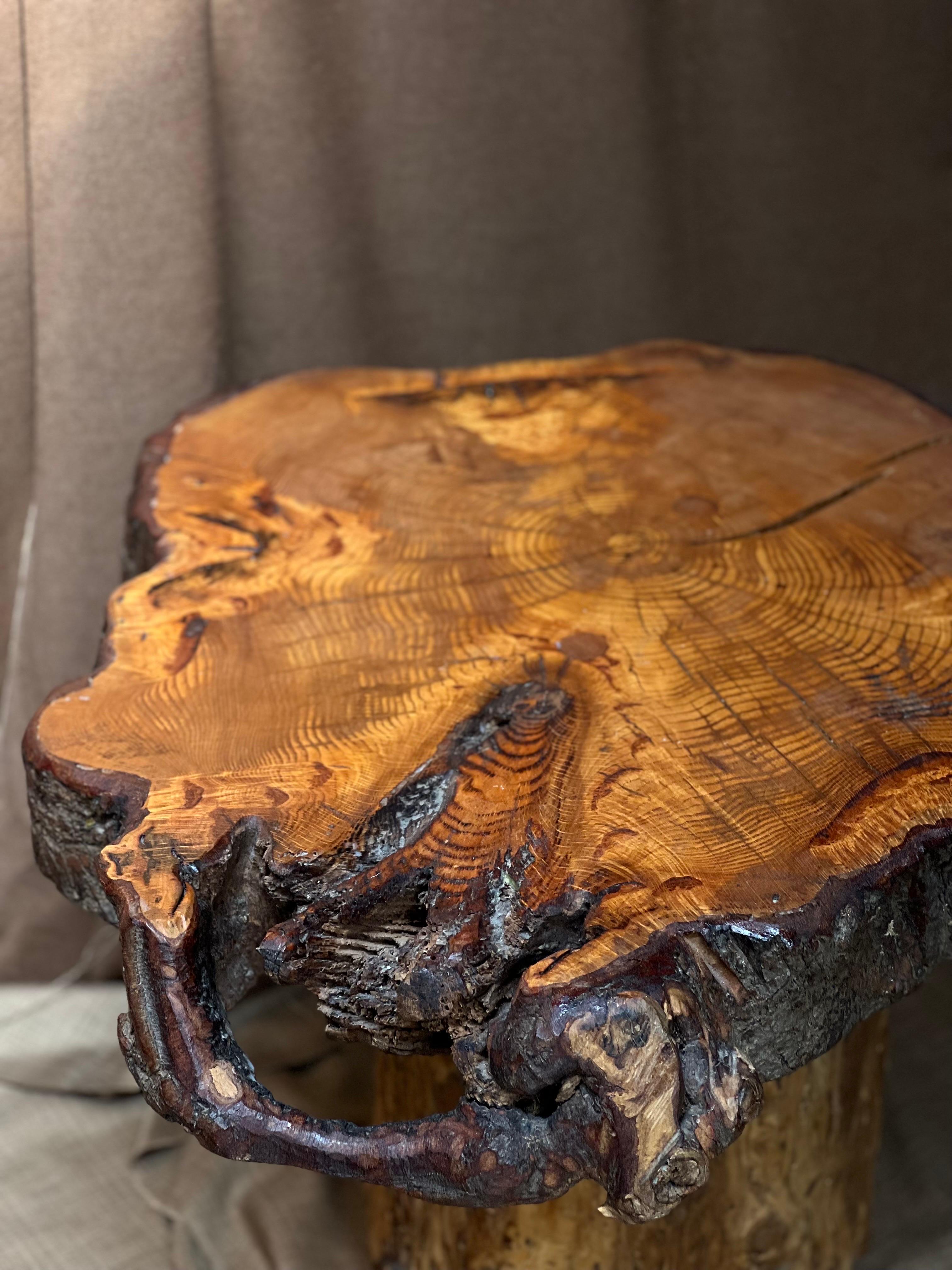 French Brutalist Tree Trunk Coffee Table, Nice Joinery, 1950s Handmade In Good Condition In Forest, BE