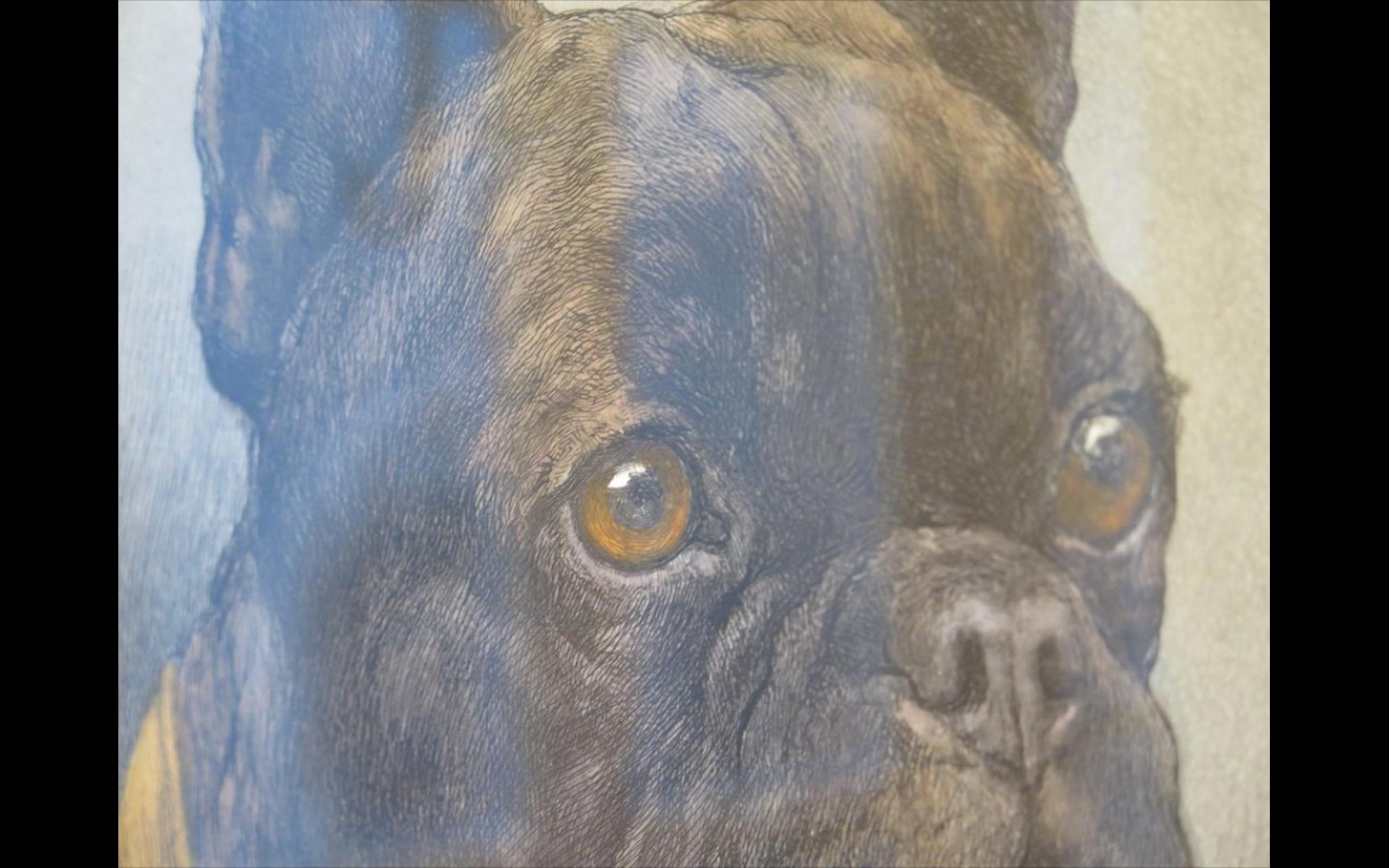 „French Bulldog“-Künstler Proof von Herbert Thomas Dicksee, R.E. (1862-1942), Engla (Englisch) im Angebot
