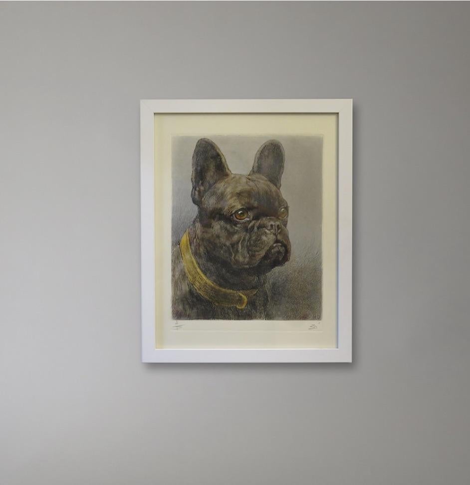 „French Bulldog“-Künstler Proof von Herbert Thomas Dicksee, R.E. (1862-1942), Engla im Zustand „Hervorragend“ im Angebot in Pittsburgh, PA