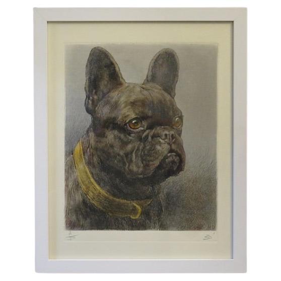 "French Bulldog" Artist Proof by Herbert Thomas Dicksee, R.E. (1862-1942), Engla For Sale