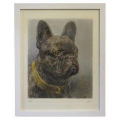 "French Bulldog" Artist Proof by Herbert Thomas Dicksee, R.E. (1862-1942), Engla
