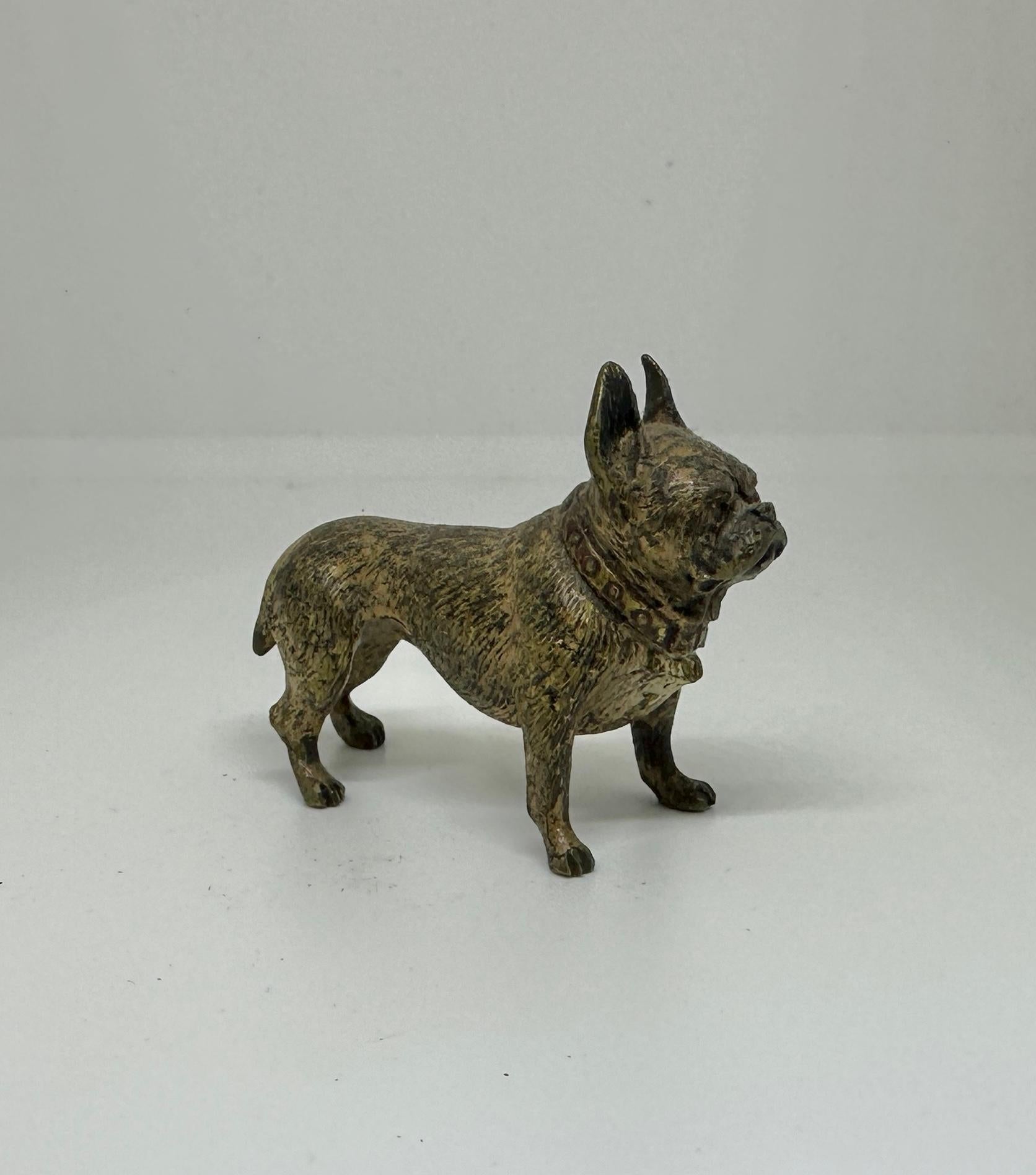 THIS IS A SUPERB ANTIQUE AUSTRIAN VIENNA BRONZE OF A FRENCH BULLDOG 