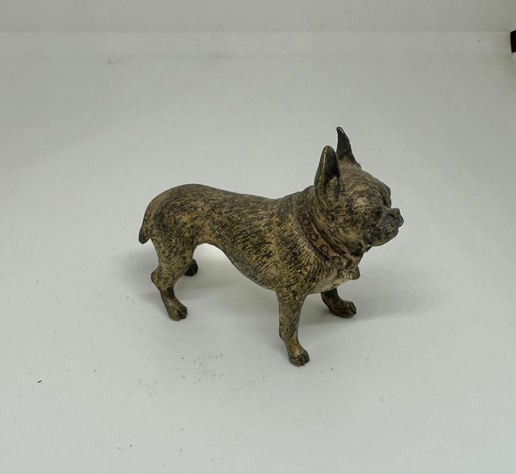 Gilded Age French Bulldog Frenchie Dog Austrian Vienna Bronze Circa 1900 Miniature Bronze For Sale