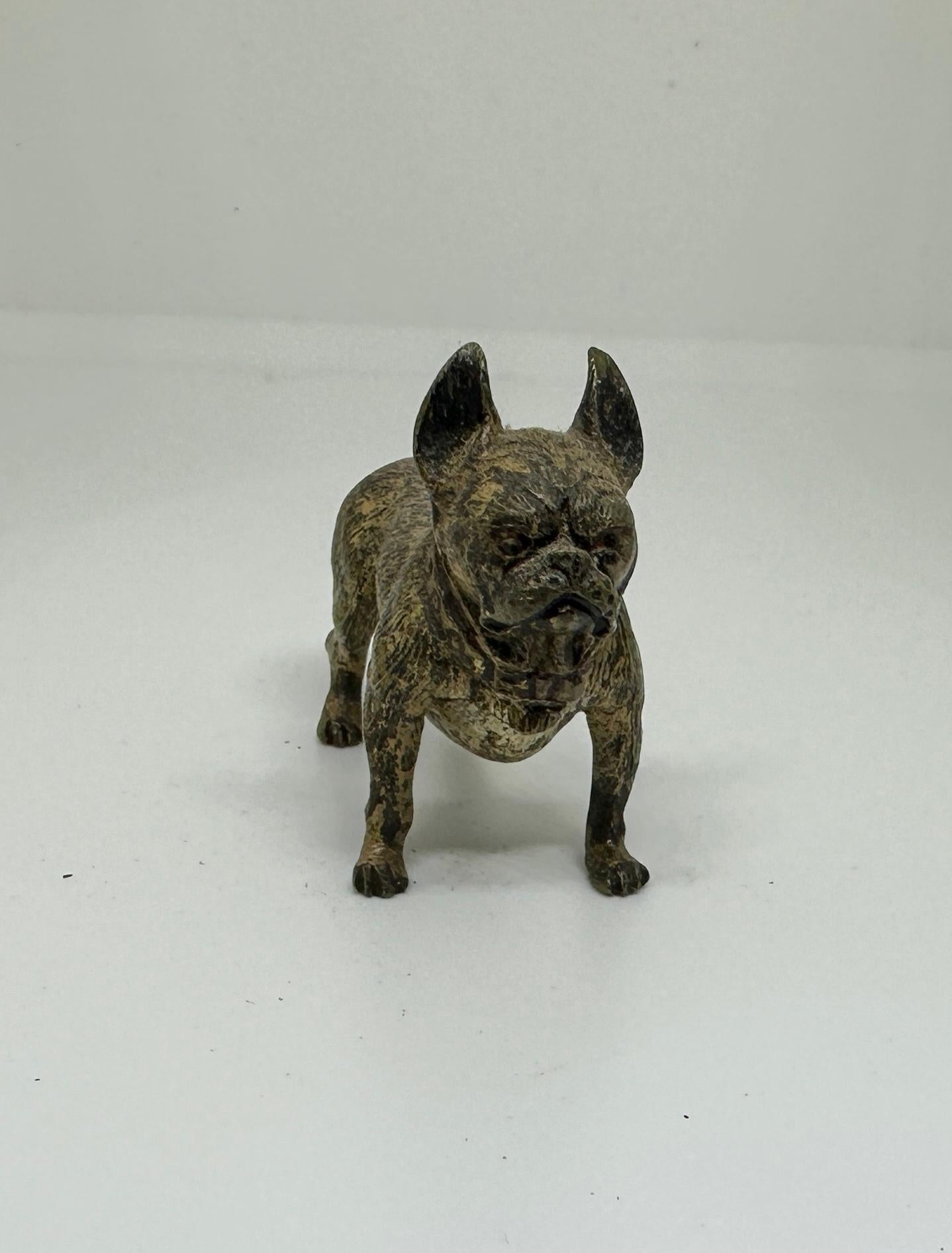 French Bulldog Frenchie Dog Austrian Vienna Bronze Circa 1900 Miniature Bronze For Sale 1