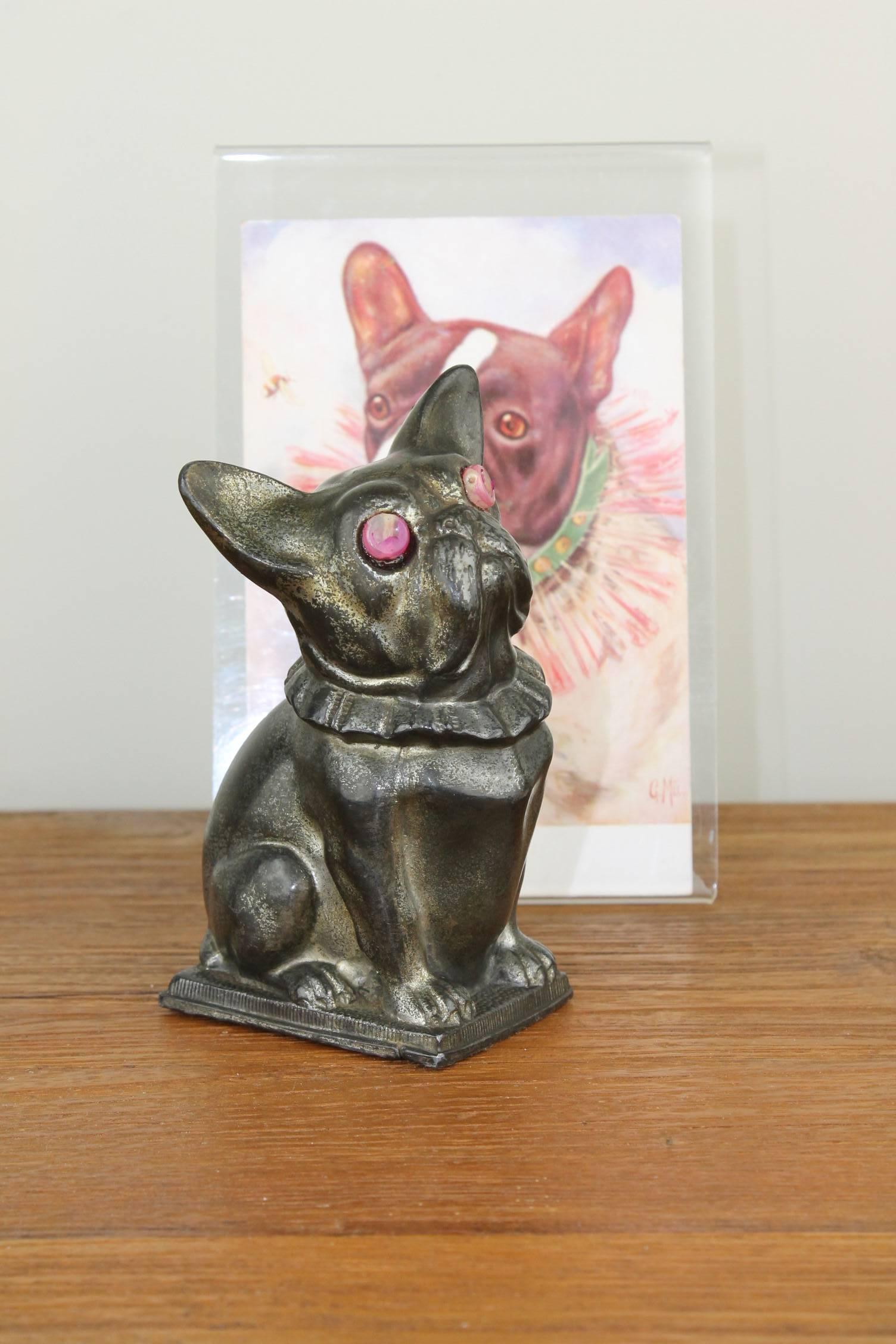 Lovely Art Deco money box in the shape of a French bulldog figurine - dog figure. Dates from the 1920s-1930s.
Made in silvered metal, but over the years the silver is almost gone because of use. On the bottom there is a Lid to take out the money