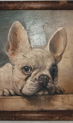 French Bulldog Oil painting