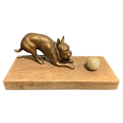 Französischer Bulldogge spielt mit Kugelskulptur