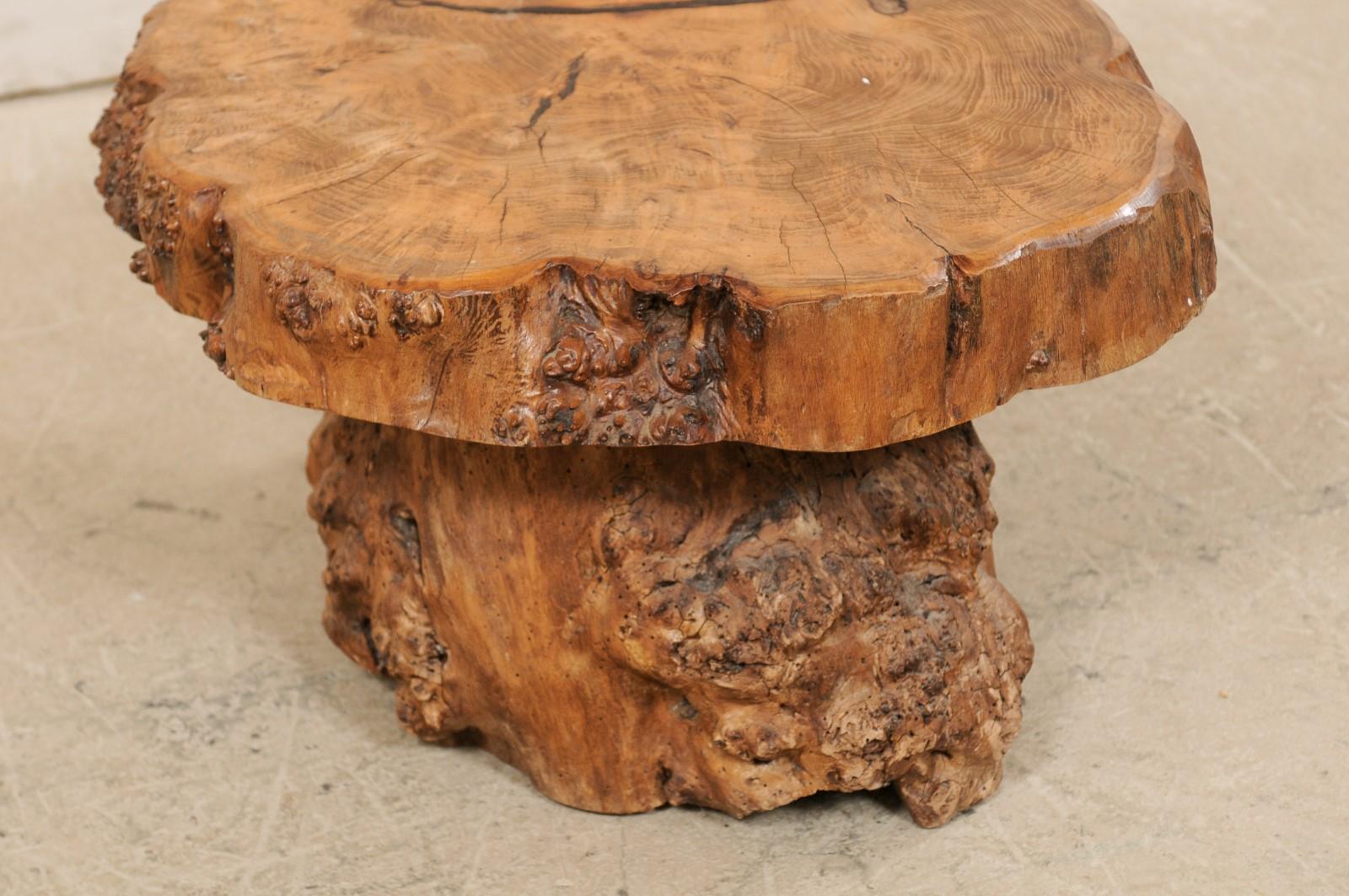 French Burl Wood Slab Top Coffee Table with Live-Edge Burl Wood Trunk Base 3