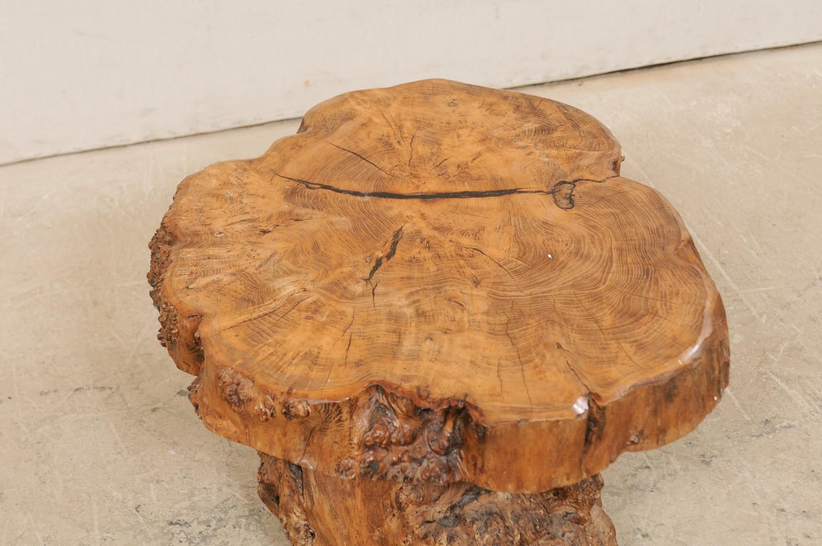 French Burl Wood Slab Top Coffee Table with Live-Edge Burl Wood Trunk Base 4