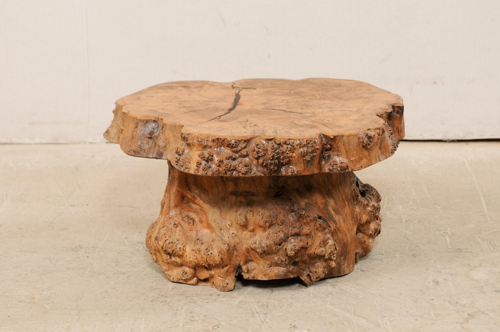 A French burl wood slab top coffee table from the mid-early 20th century. This wonderfully rustic little antique coffee table is comprised of a thick slab top of live-edge burl wood, displaying it's beautifully formed rings throughout the center,
