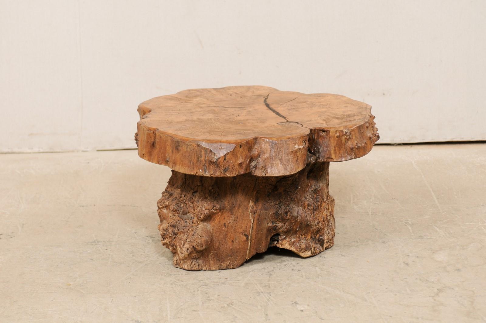 French Burl Wood Slab Top Coffee Table with Live-Edge Burl Wood Trunk Base 1