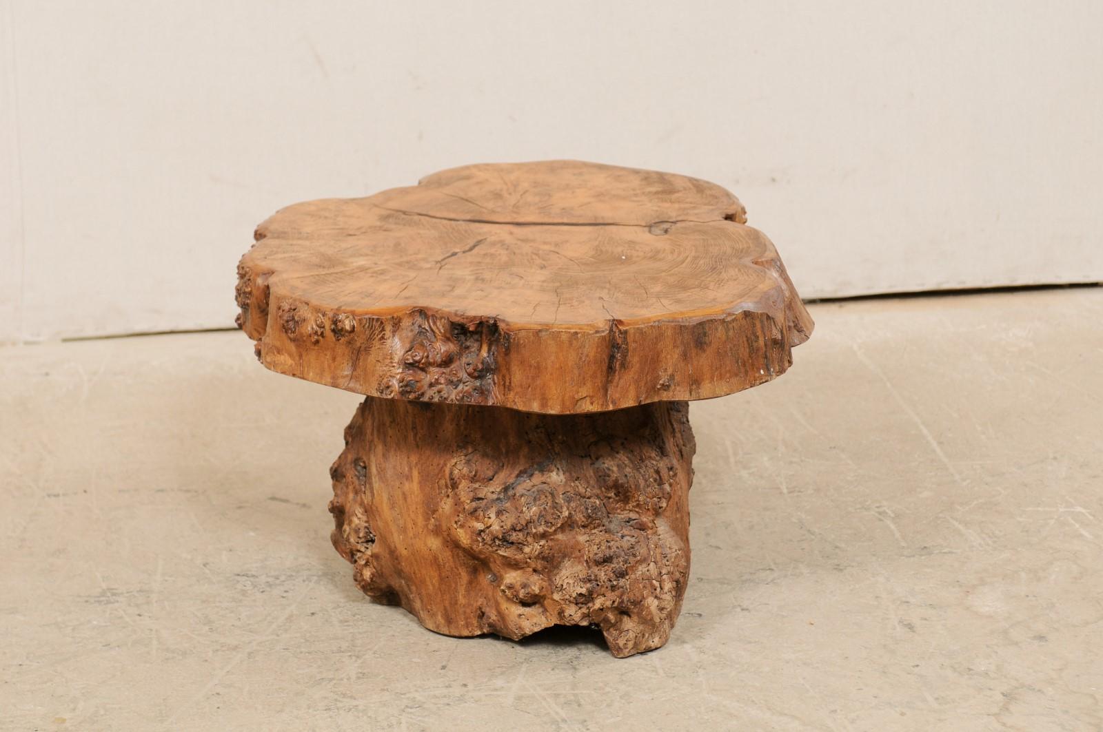 French Burl Wood Slab Top Coffee Table with Live-Edge Burl Wood Trunk Base 2