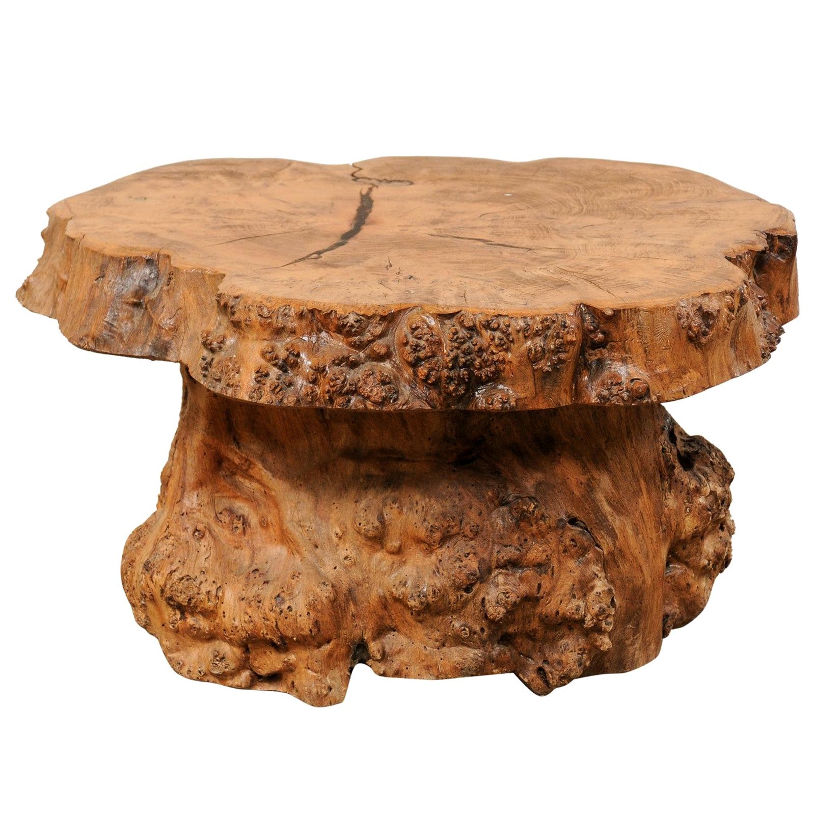 French Burl Wood Slab Top Coffee Table with Live-Edge Burl Wood Trunk Base