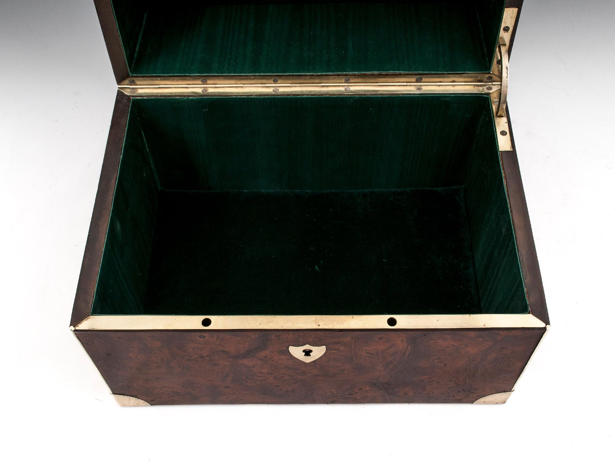 French Burr Elm Brass Silk Lined Jewelry Box, 19th Century 7