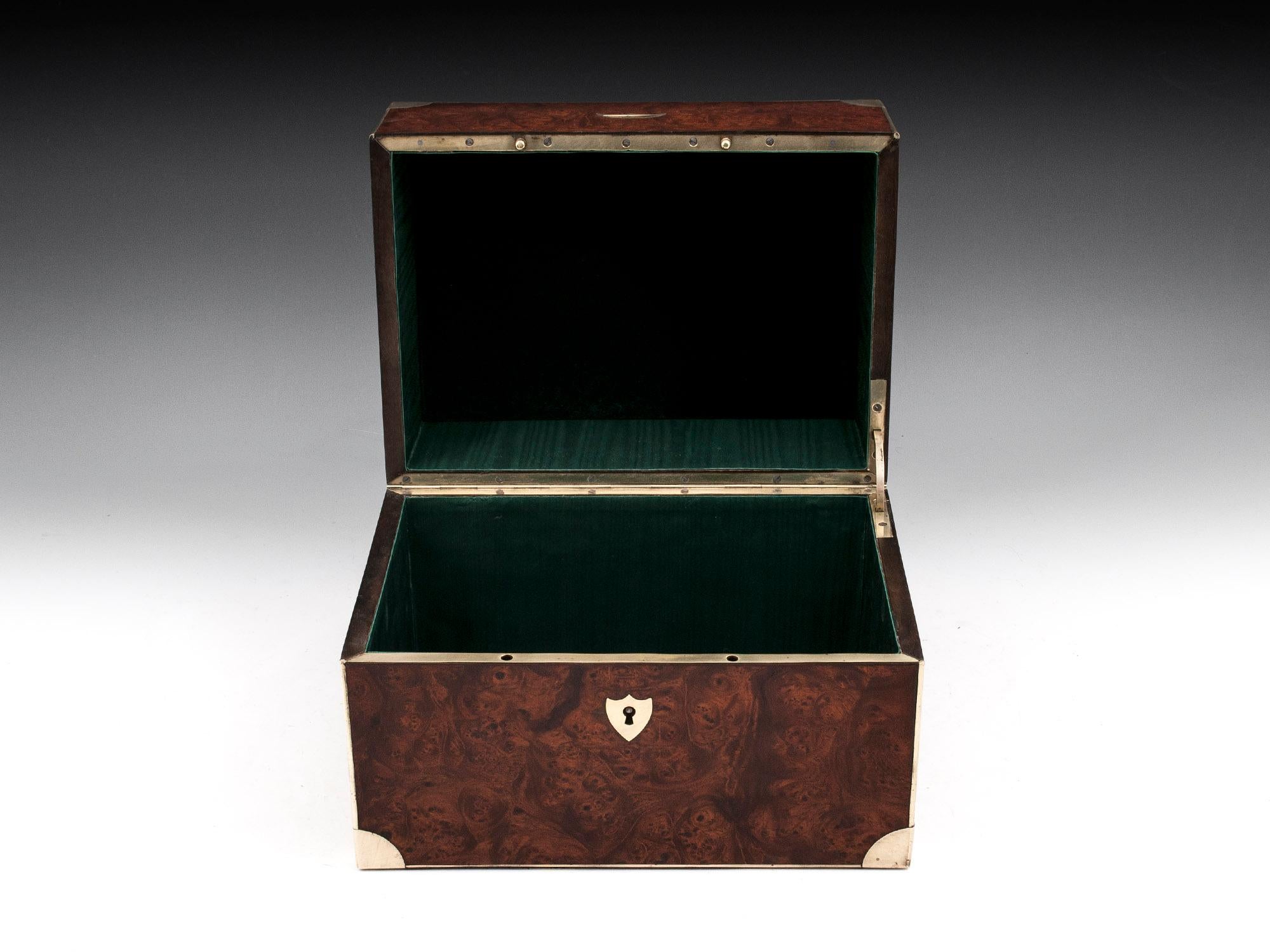 French Burr Elm Brass Silk Lined Jewelry Box, 19th Century 6