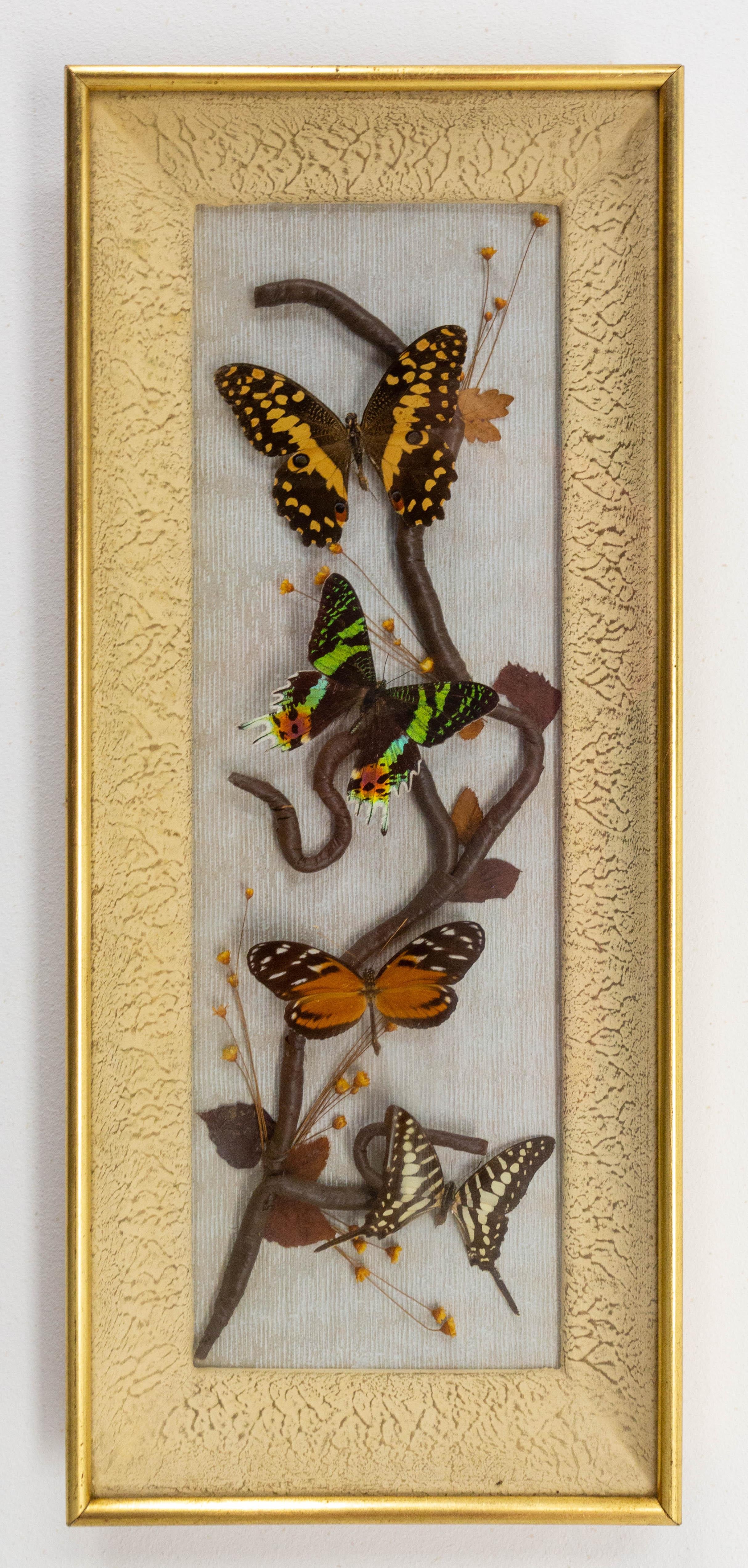 Midcentury glass box frame with butterflies, French, circa 1950.
Good vintage condition

Shipping:
4/22 / 52 cm 1.4 kg.