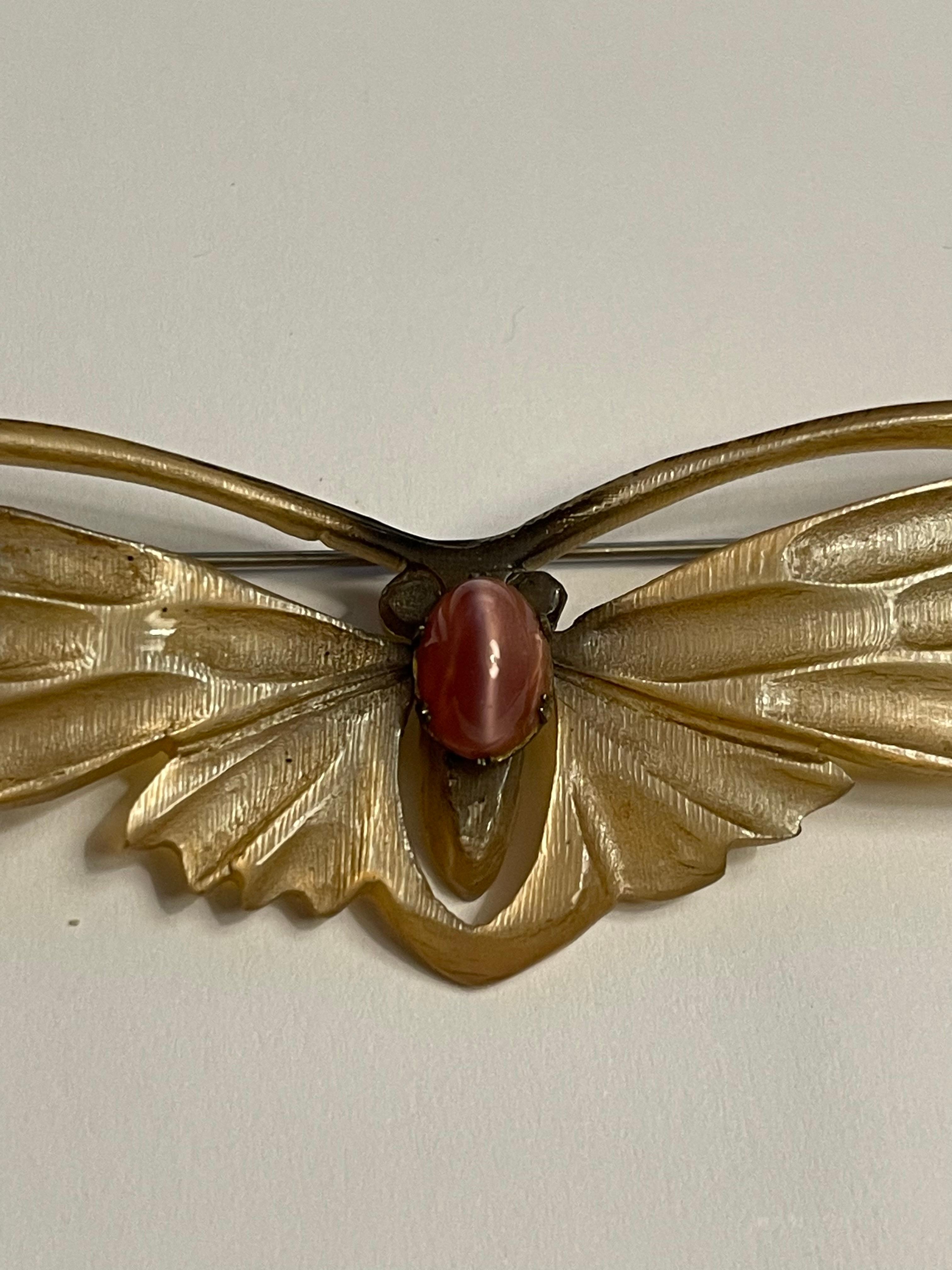 Condizioni molto buone per questa rara farfalla di Horn.