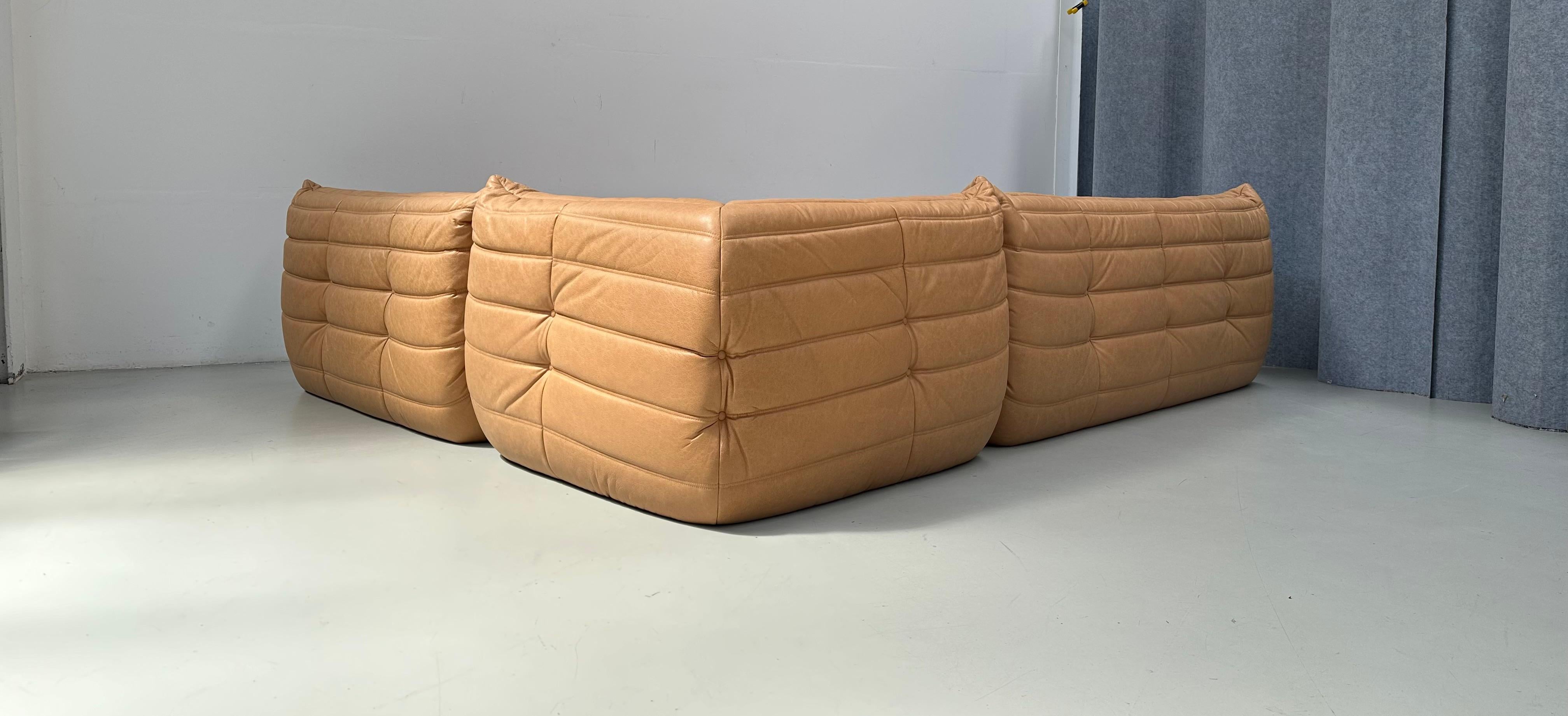 French Camel Leather Togo Living Room Set by Michel Ducaroy for Ligne Roset. For Sale 9