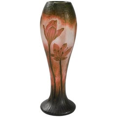 French Cameo Glass Vase by Daum
