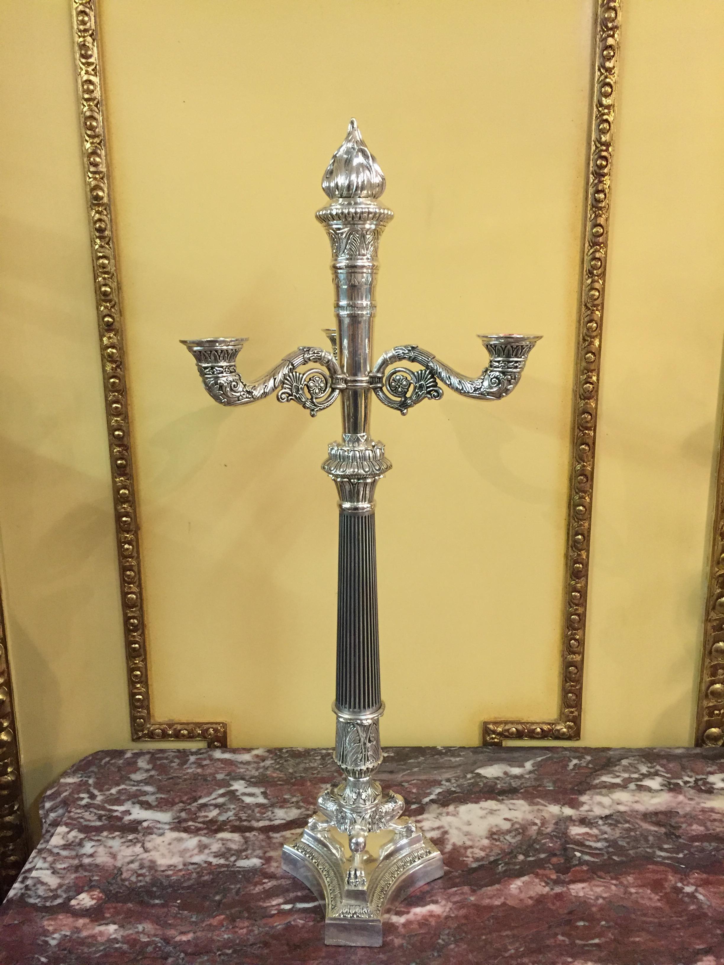 Galvanized French Candelabra in Empire Style silver For Sale