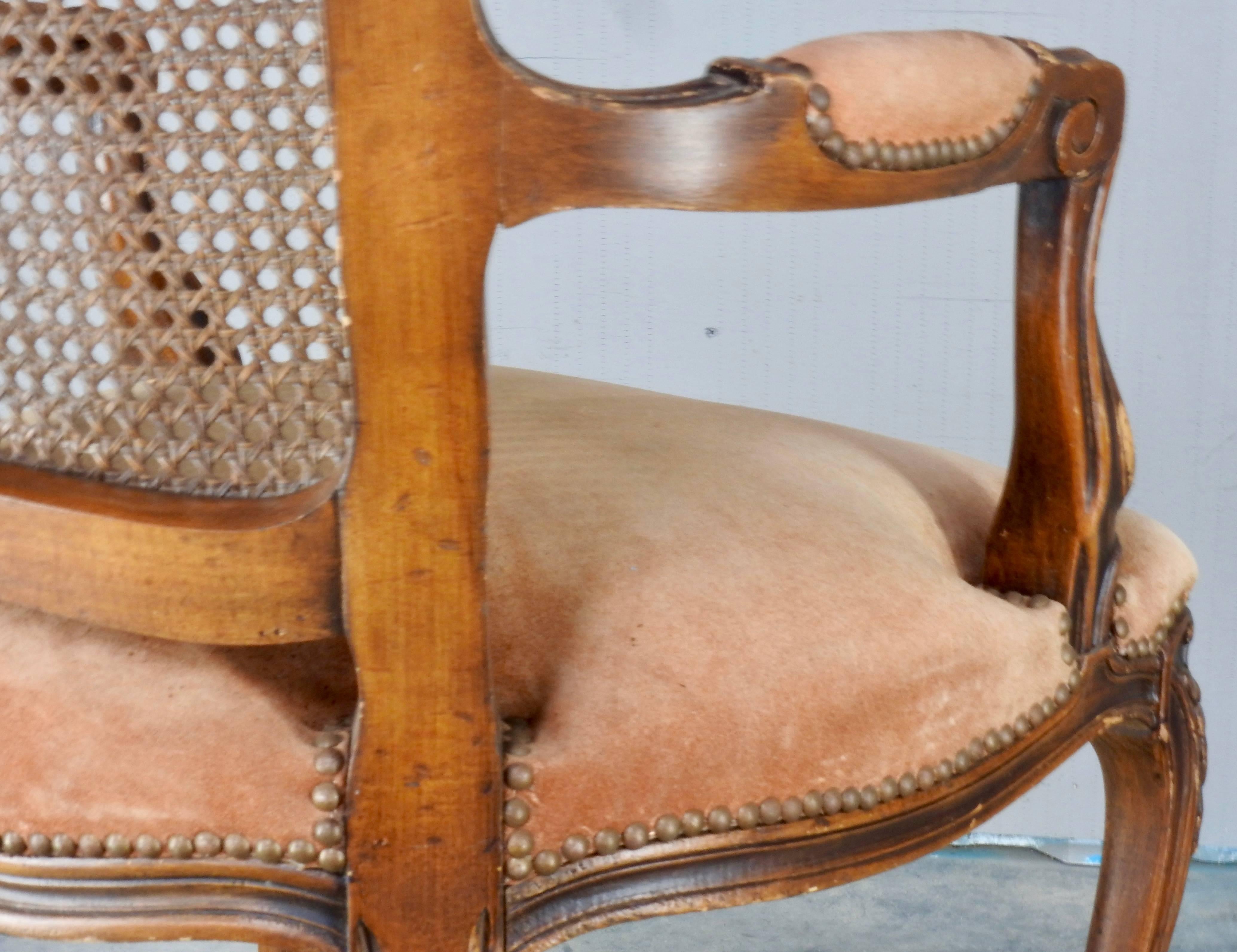 20th Century French Caned Back Fauteuil Armchair For Sale
