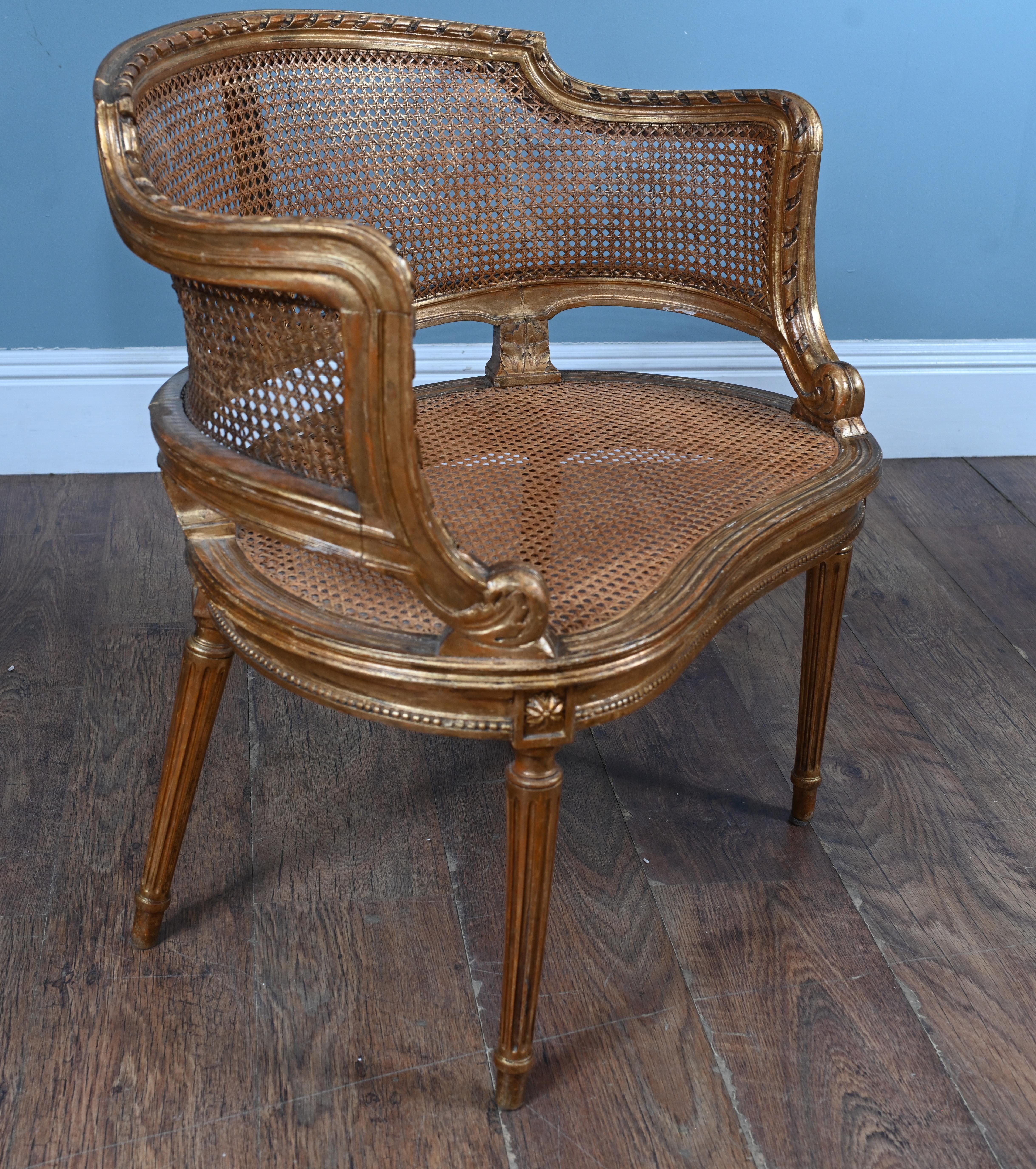 French Caned Bergere Arm Chair Gilt Salon 1880 Louis XVI For Sale 2