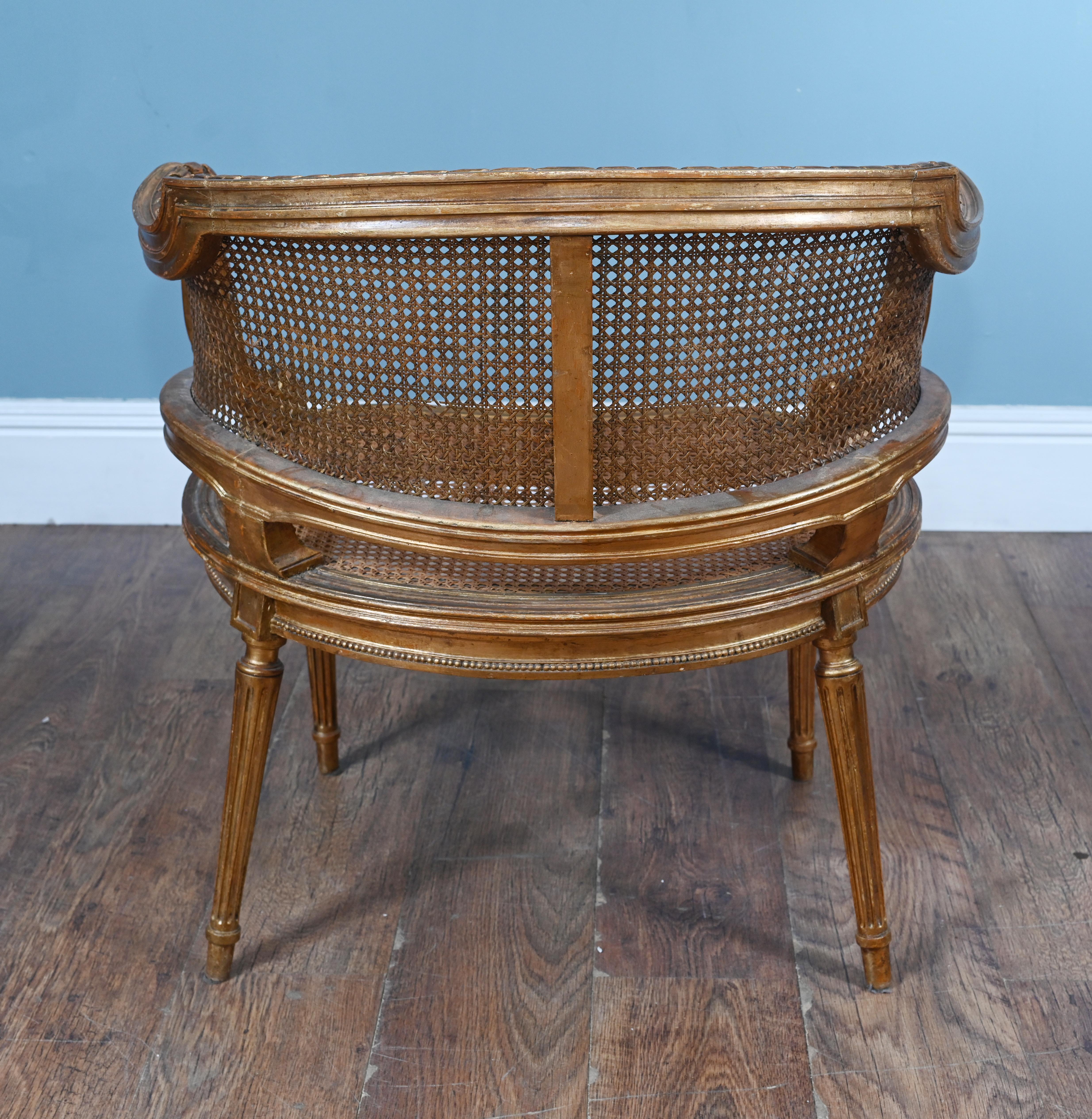 French Caned Bergere Arm Chair Gilt Salon 1880 Louis XVI For Sale 3