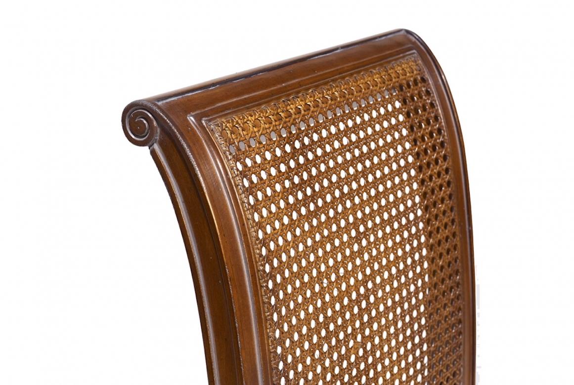 French Caned Directoire Dining Chair, 20th Century For Sale 1