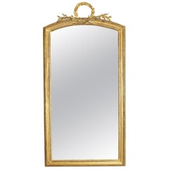 Antique French Carved Giltwood and Carved Gesso Tall Mirror, Mid-19th Century