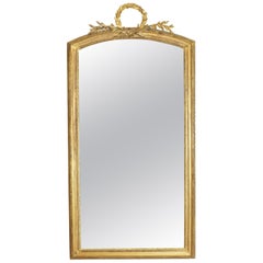 French Carved Giltwood and Carved Gesso Tall Mirror, Mid-19th Century