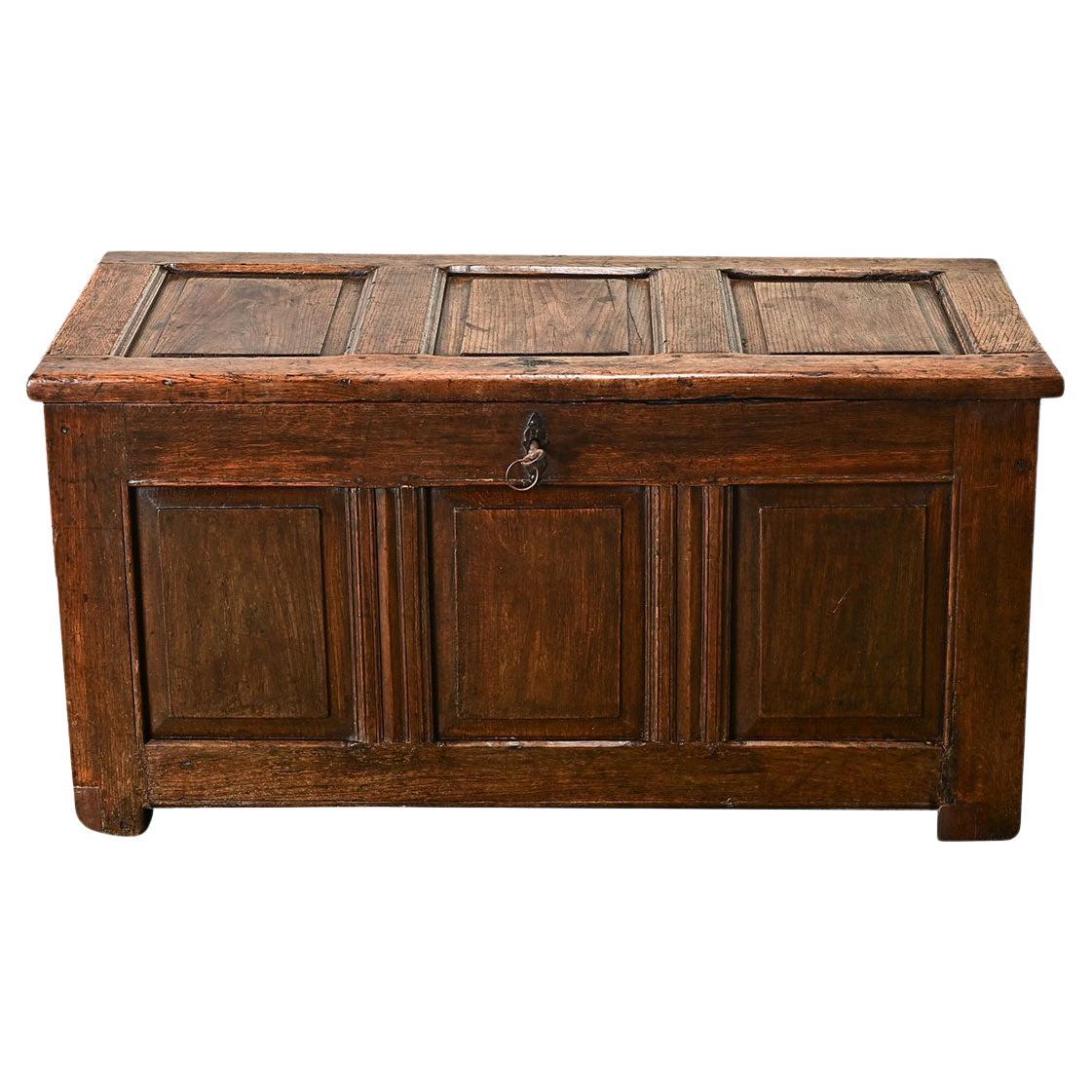 French Carved Oak Paneled Trunk For Sale