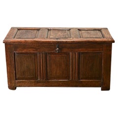 Antique French Carved Oak Paneled Trunk