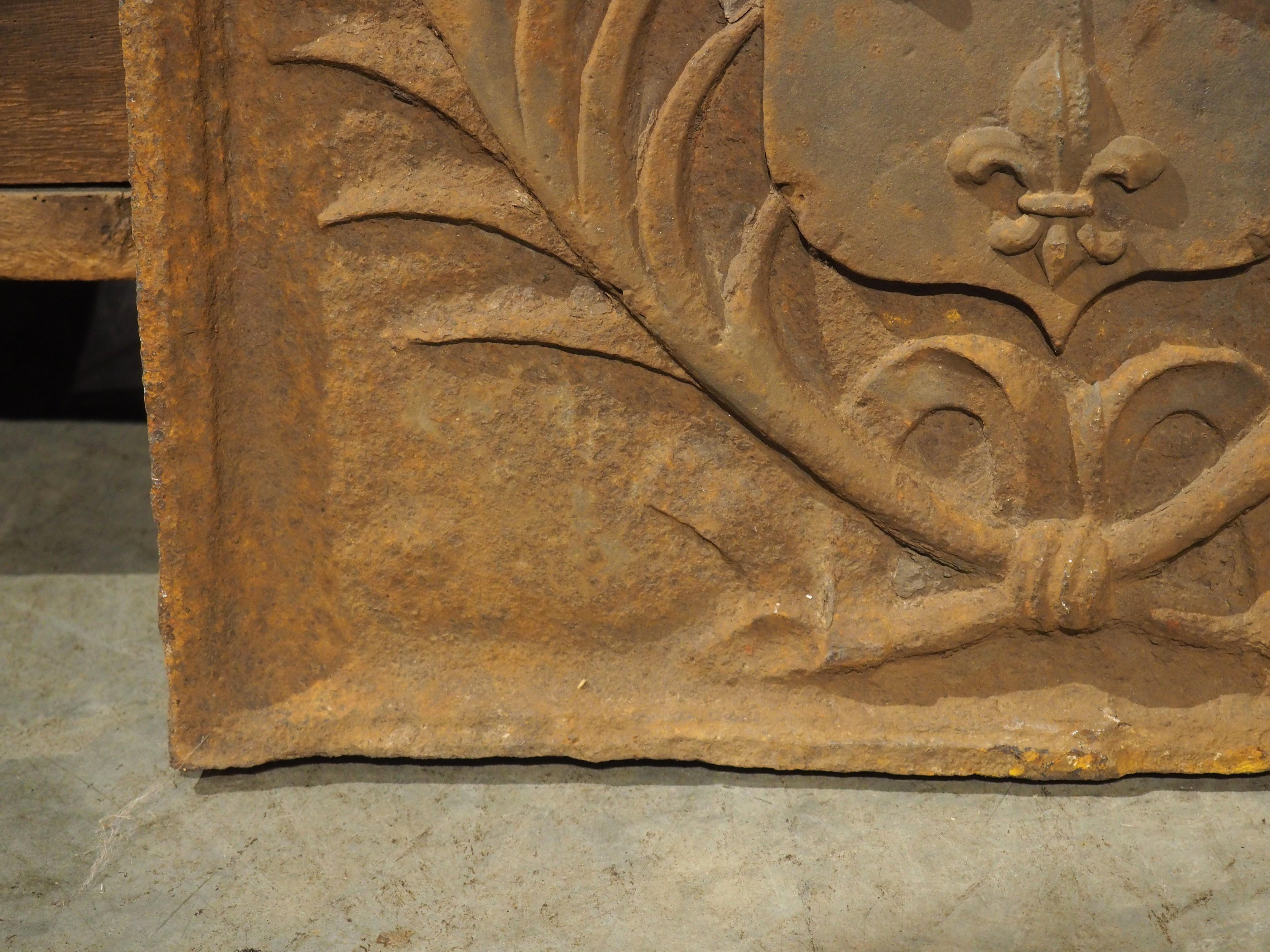 Plaque de cheminée française en fonte, armoiries de la Maison Bourbon, début du 20e siècle en vente 1